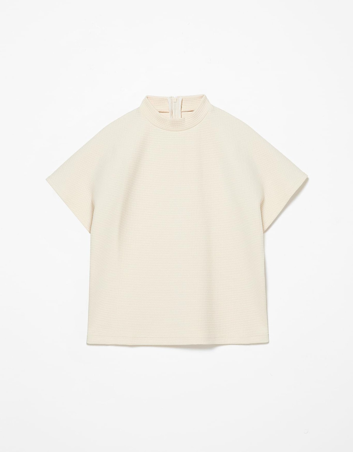 image_f4e83da6-62f0-49a6-b3e8-13e81fea90fc