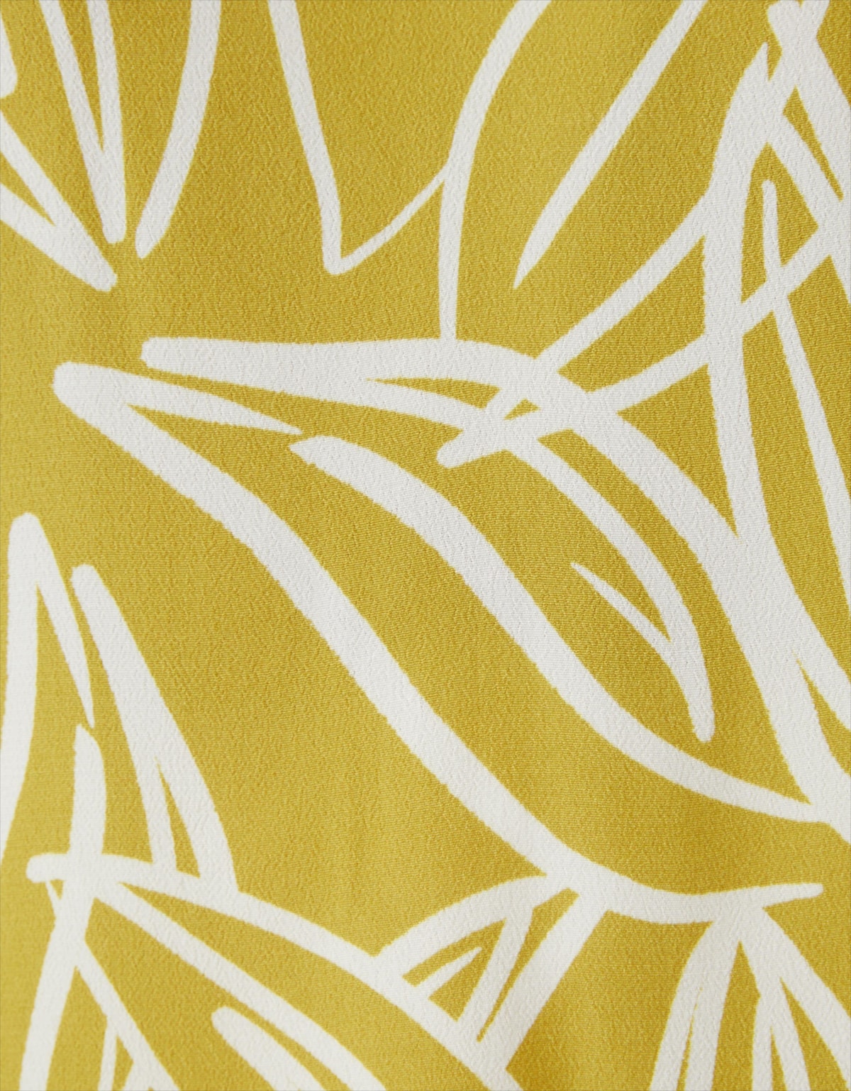 image_81a4a80b-2fa3-4b37-9be4-6c0ff85341bb