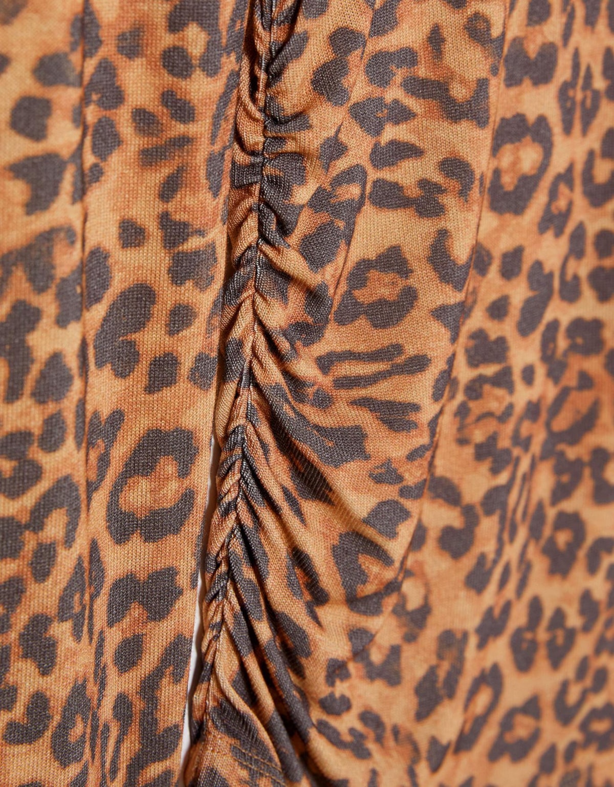 image_4e0ce35a-75c6-4d7d-a17c-1d170c91589a