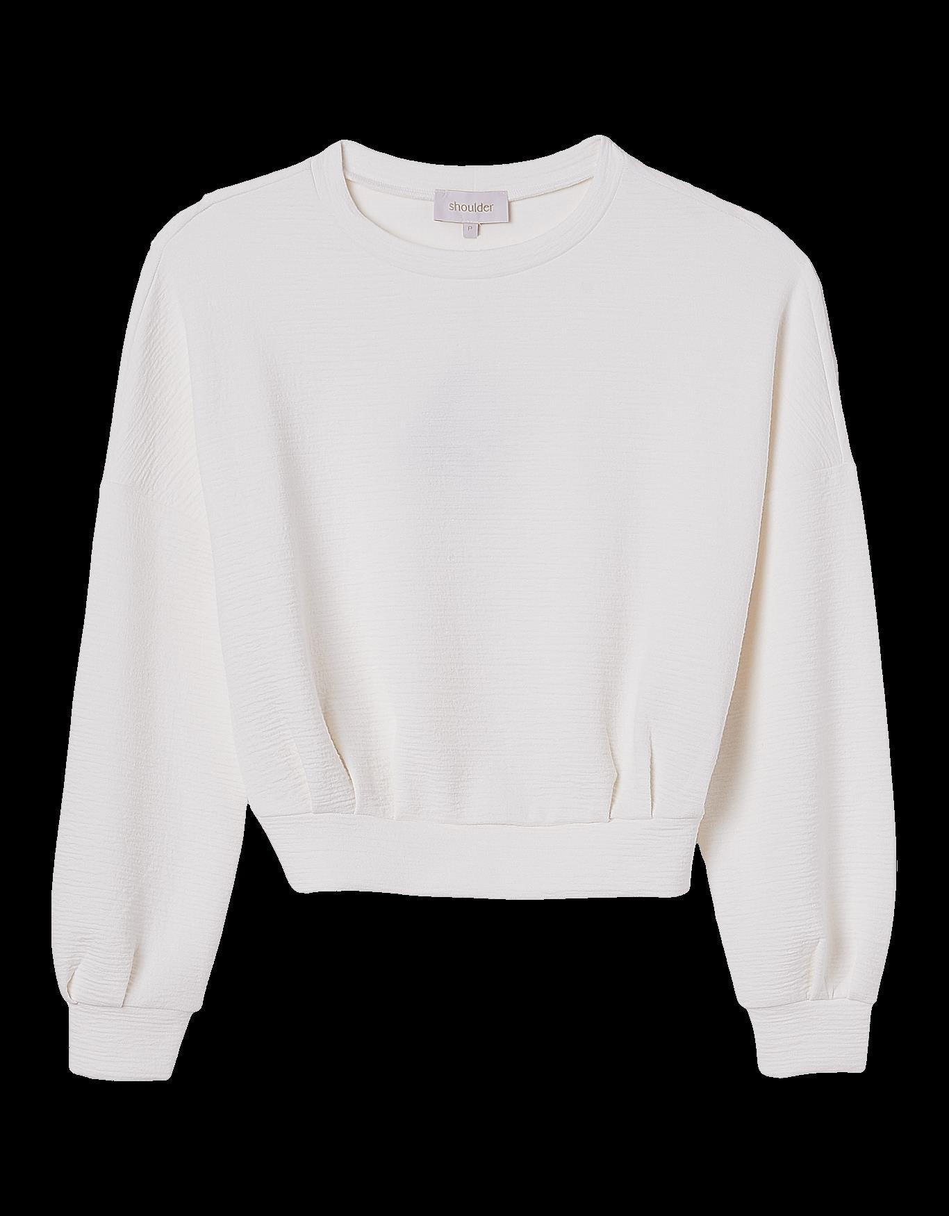 image_3c3fd295-734d-404c-8d6e-6935dfac898d