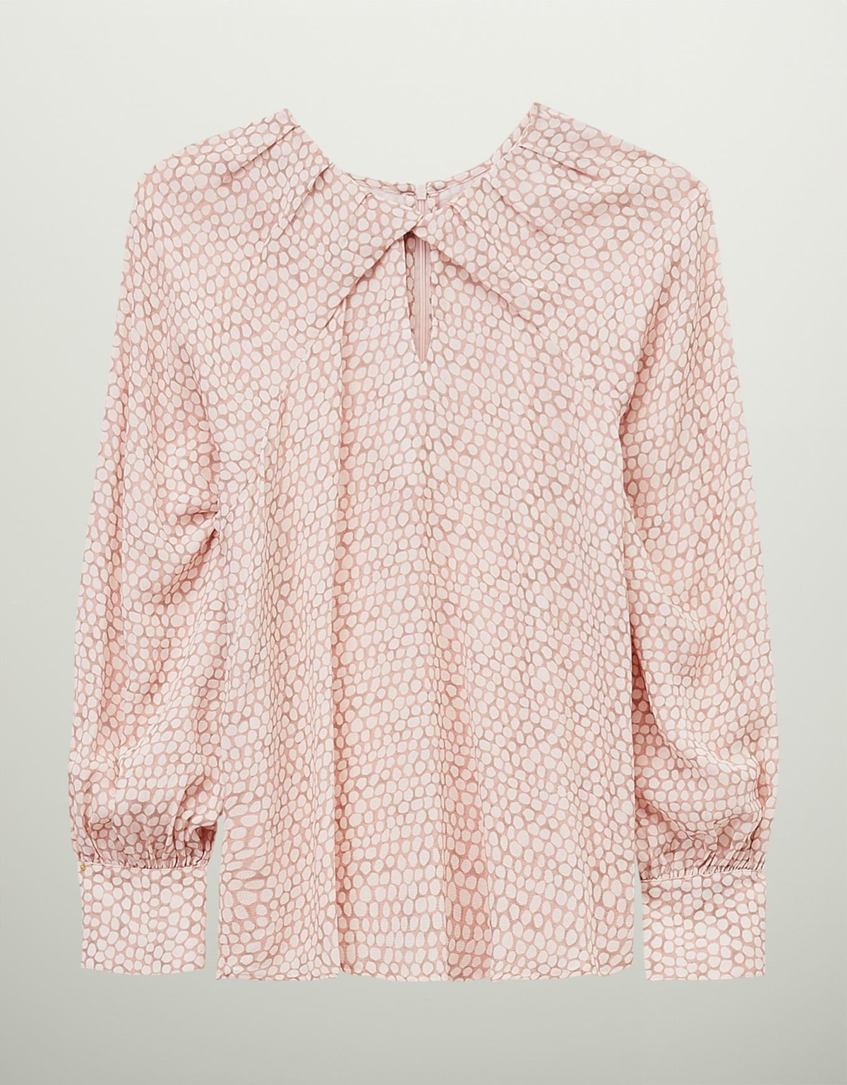 image_970b28f0-b4eb-4008-94a9-260ce8bd133e