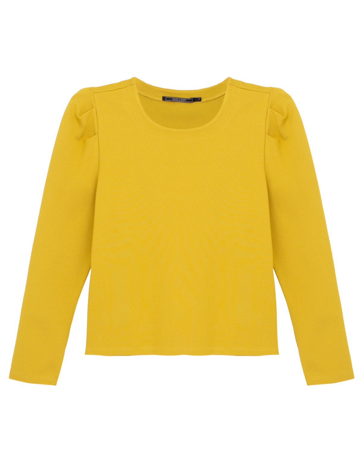 image_27a31305-fc36-4b11-ab5c-7e867d29f7df