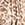 Color ESTAMPADO 2