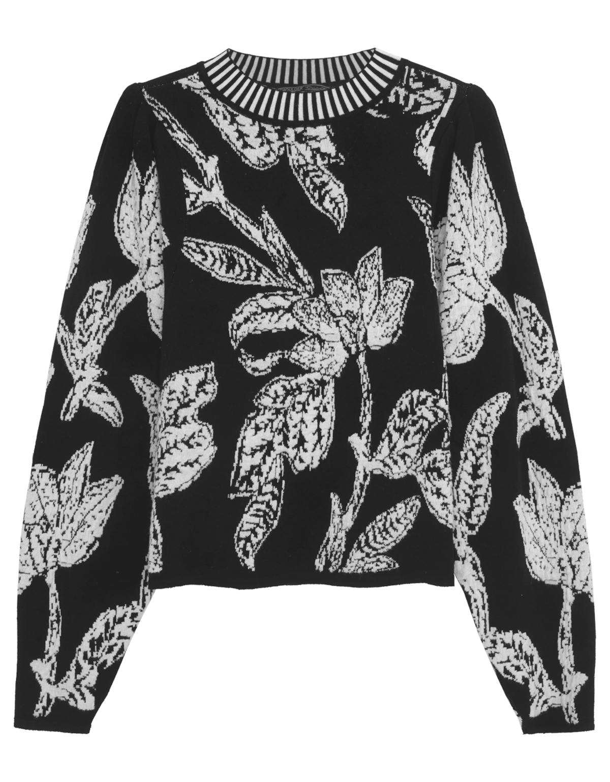 image_2c6015c9-64b1-4c2d-9cc3-626ab5621fe5