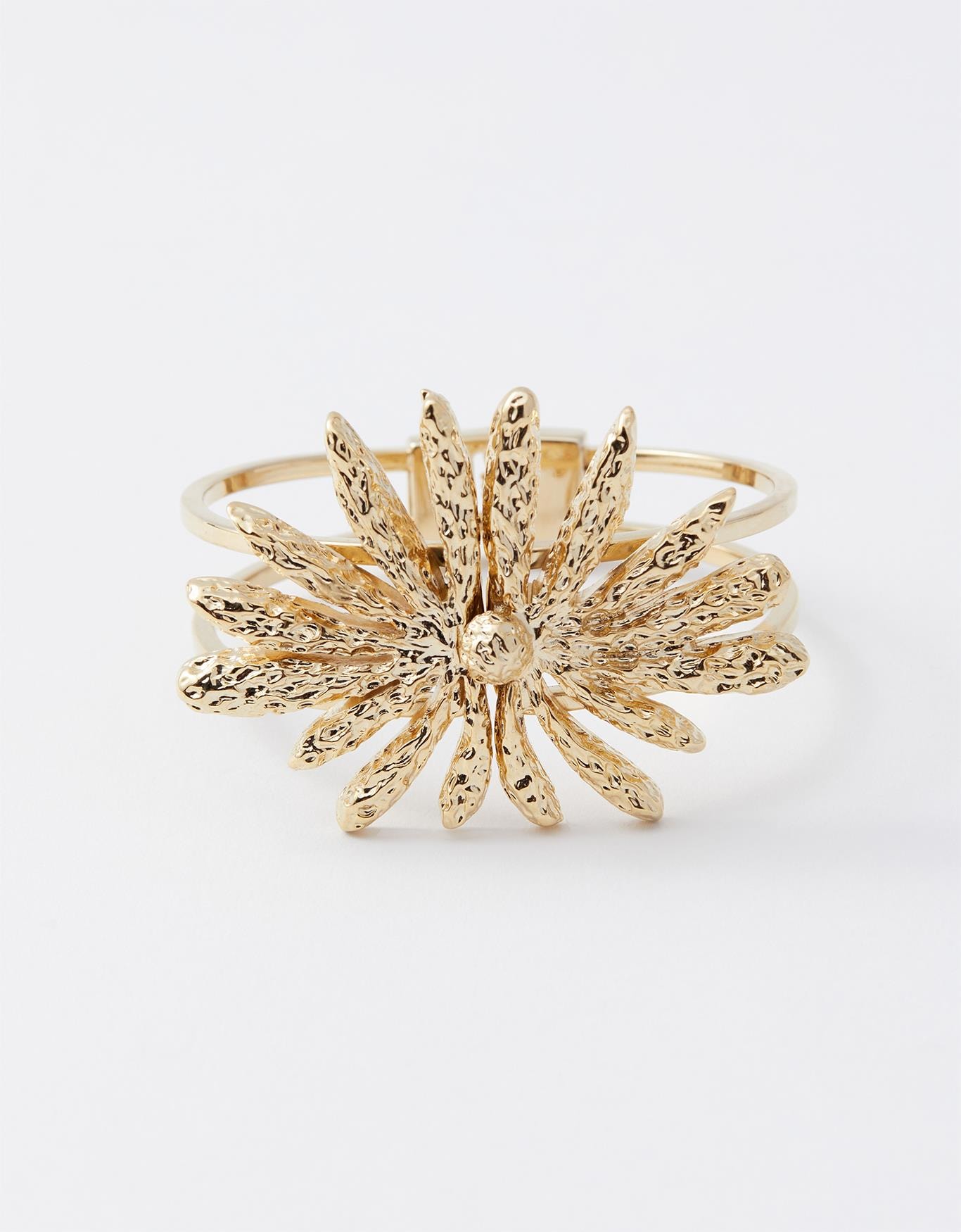 image_75e56644-b863-491c-a490-2c7f5c3a2ac4