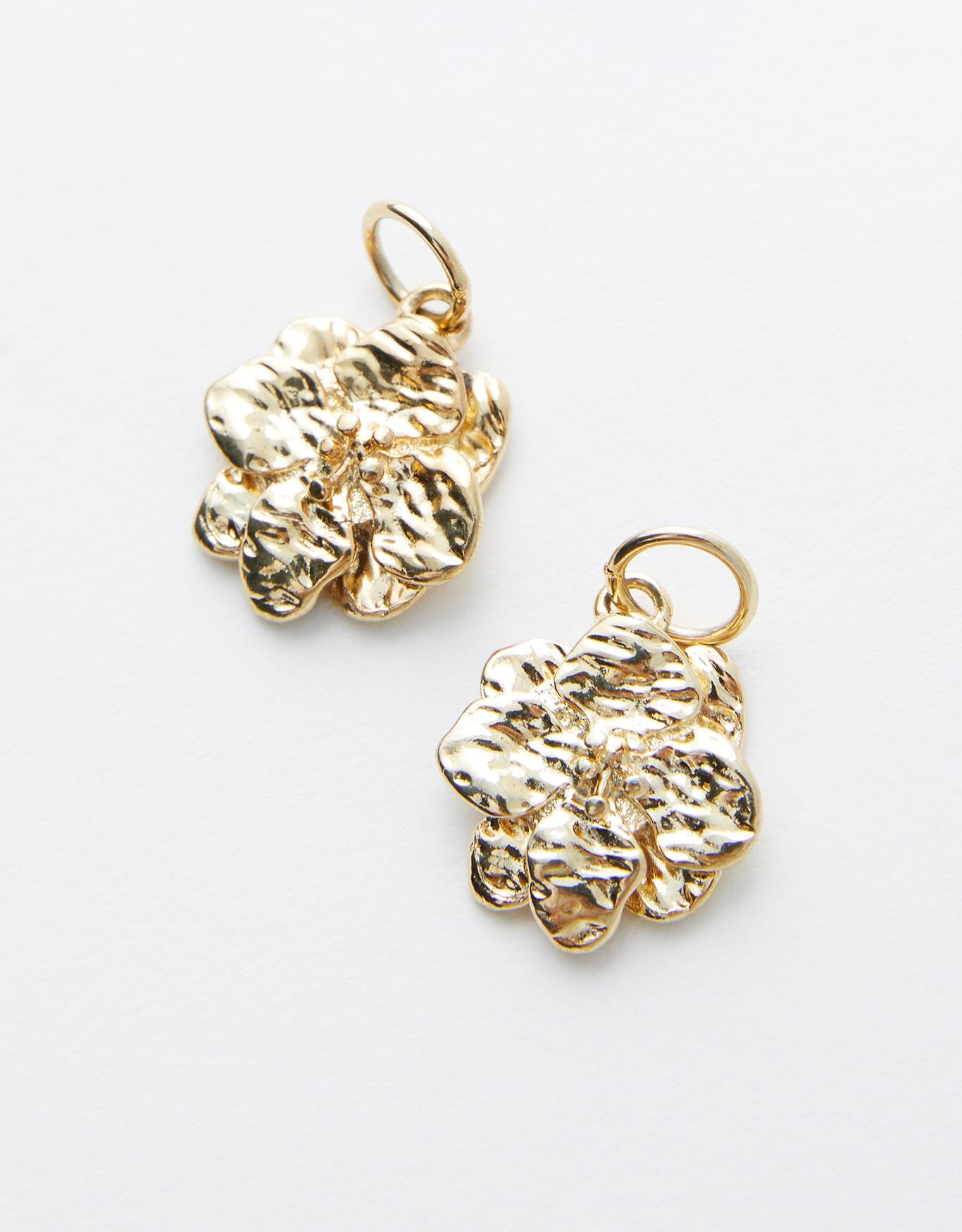 image_09b498cd-acea-46c4-a5ab-96c5dcecc671