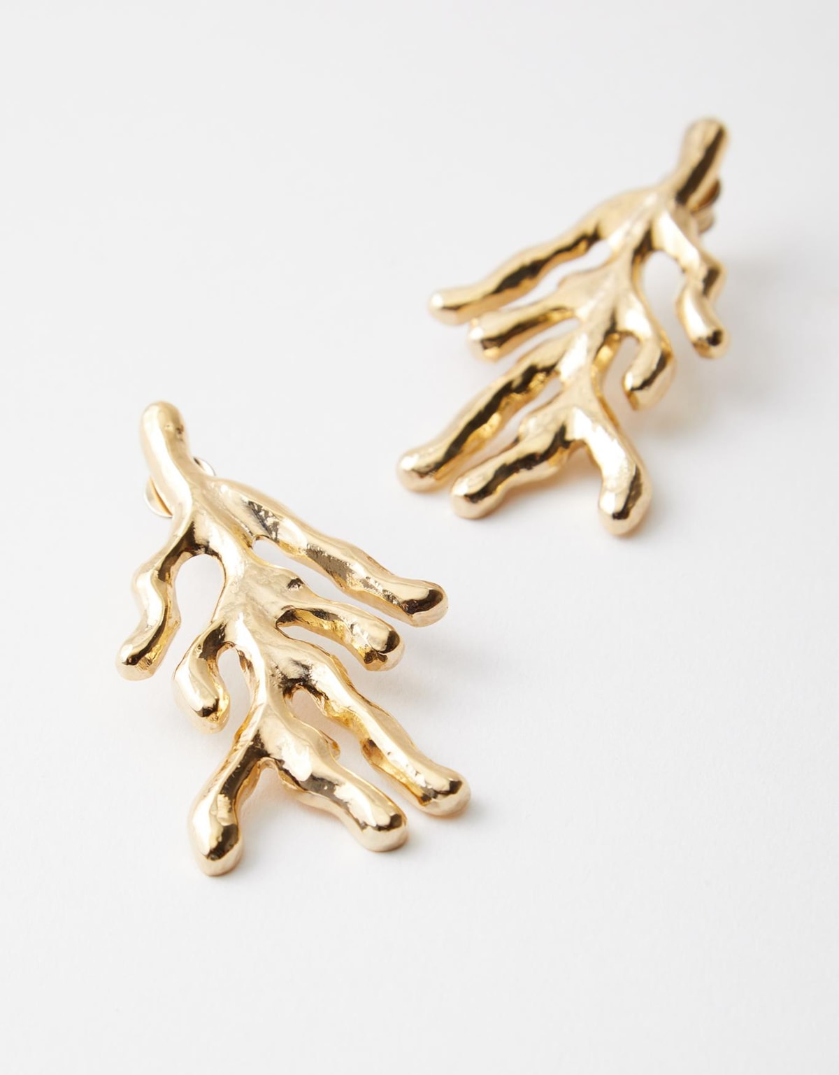 image_fe9c8d37-9a62-4731-880b-630ff3b5a756