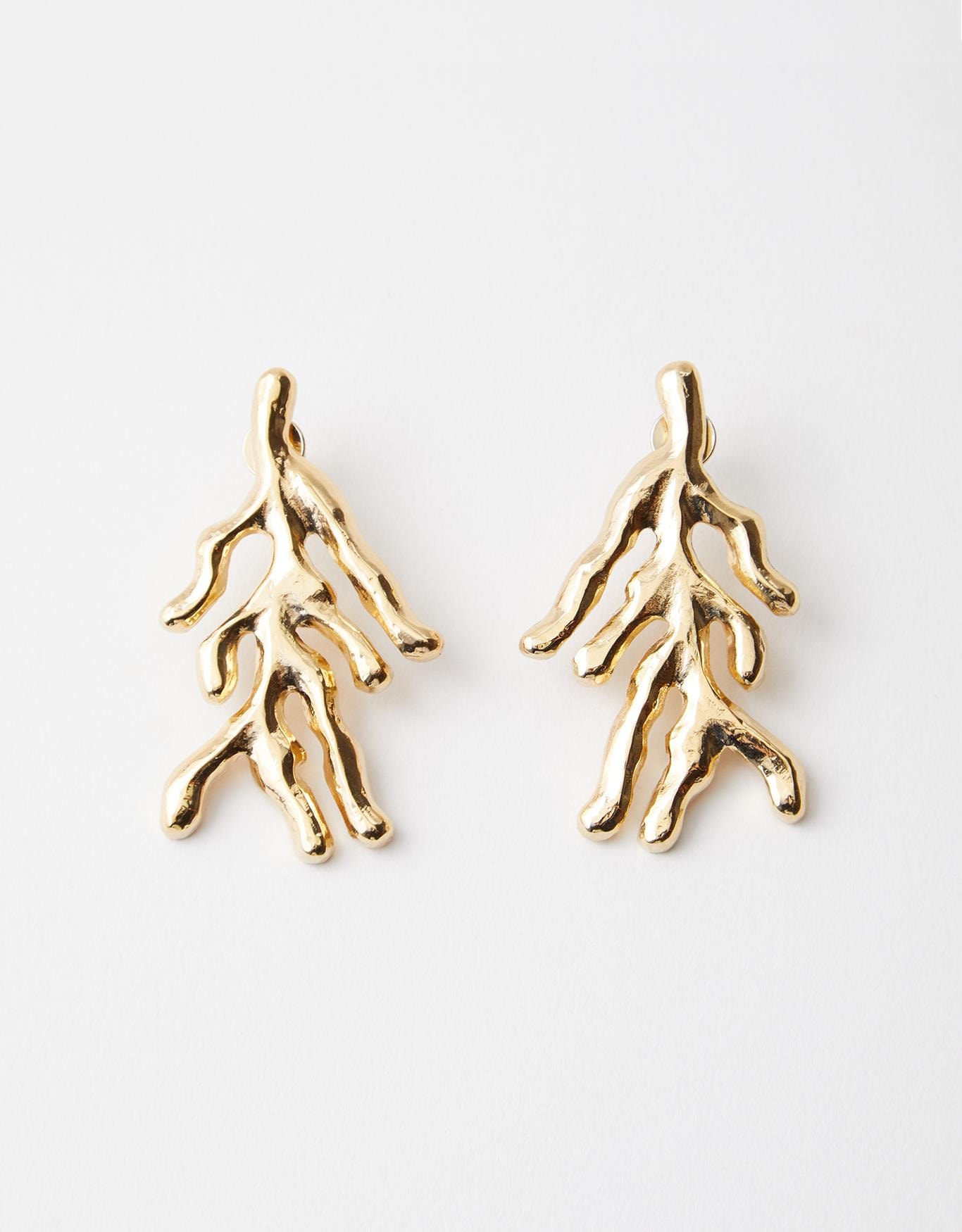 image_ae3ac0a1-dfb9-46cb-8db3-b12b910bf2cc