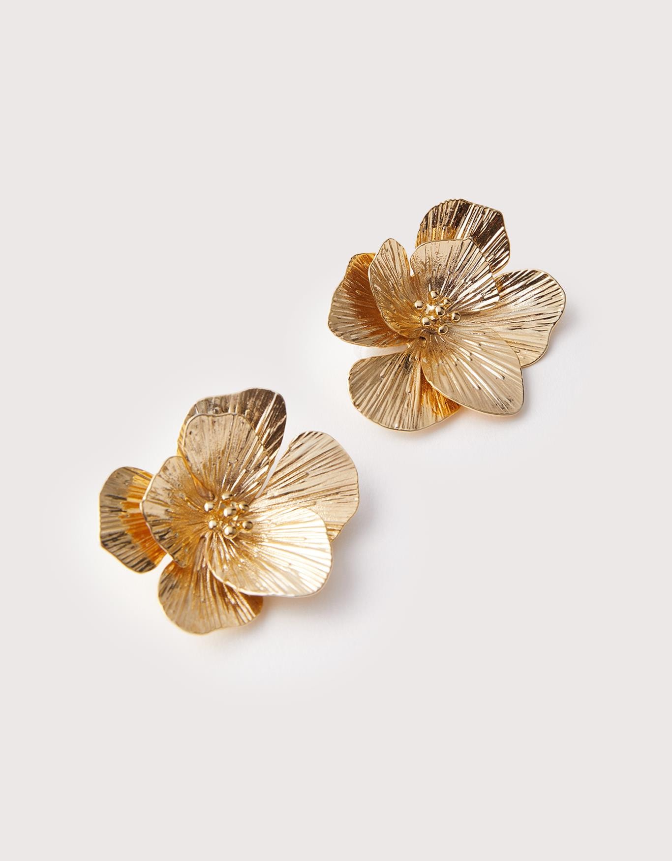 image_8609e43c-9f35-4d5f-b9e5-c964f92b18b1