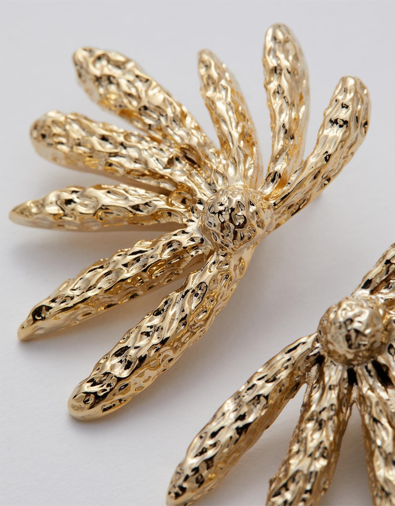 image_c56efc7b-09b7-4492-a9a8-8ef4847355f8