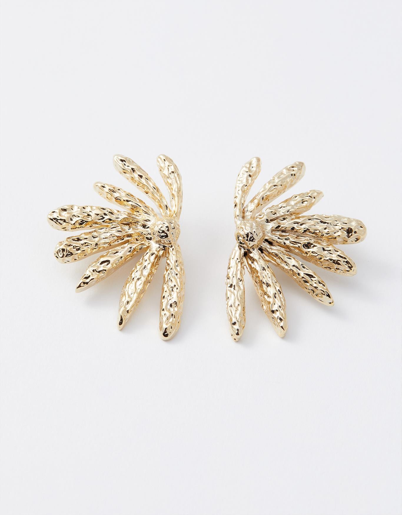 image_825fa1a7-6648-4cce-9986-8da2ac92c721