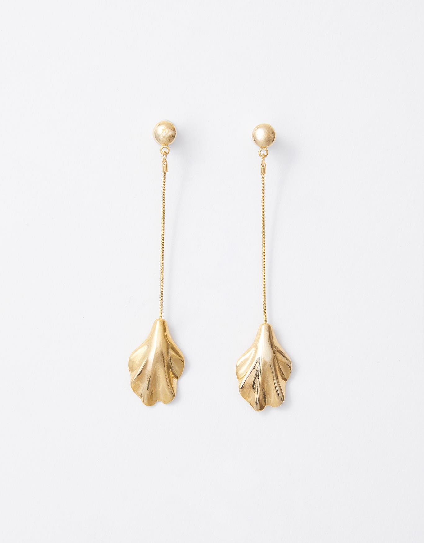 image_0c19469d-b09f-4041-baf5-3608fff7d3a2