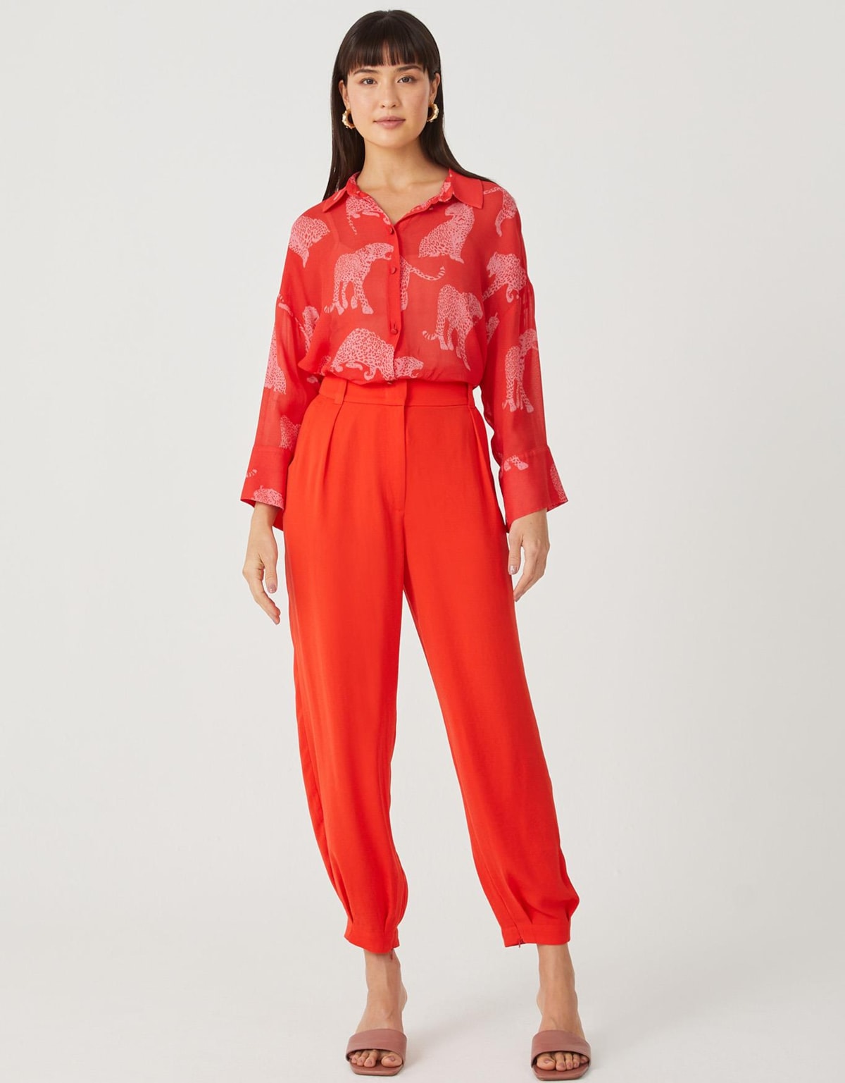 image_e02e4af2-786e-43f4-a066-a432c3fdfb55