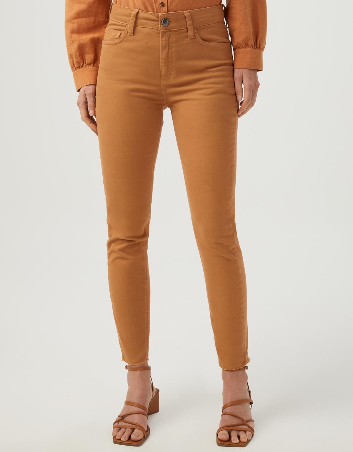 image_20422b21-7557-4b23-9cec-afed9b99d037