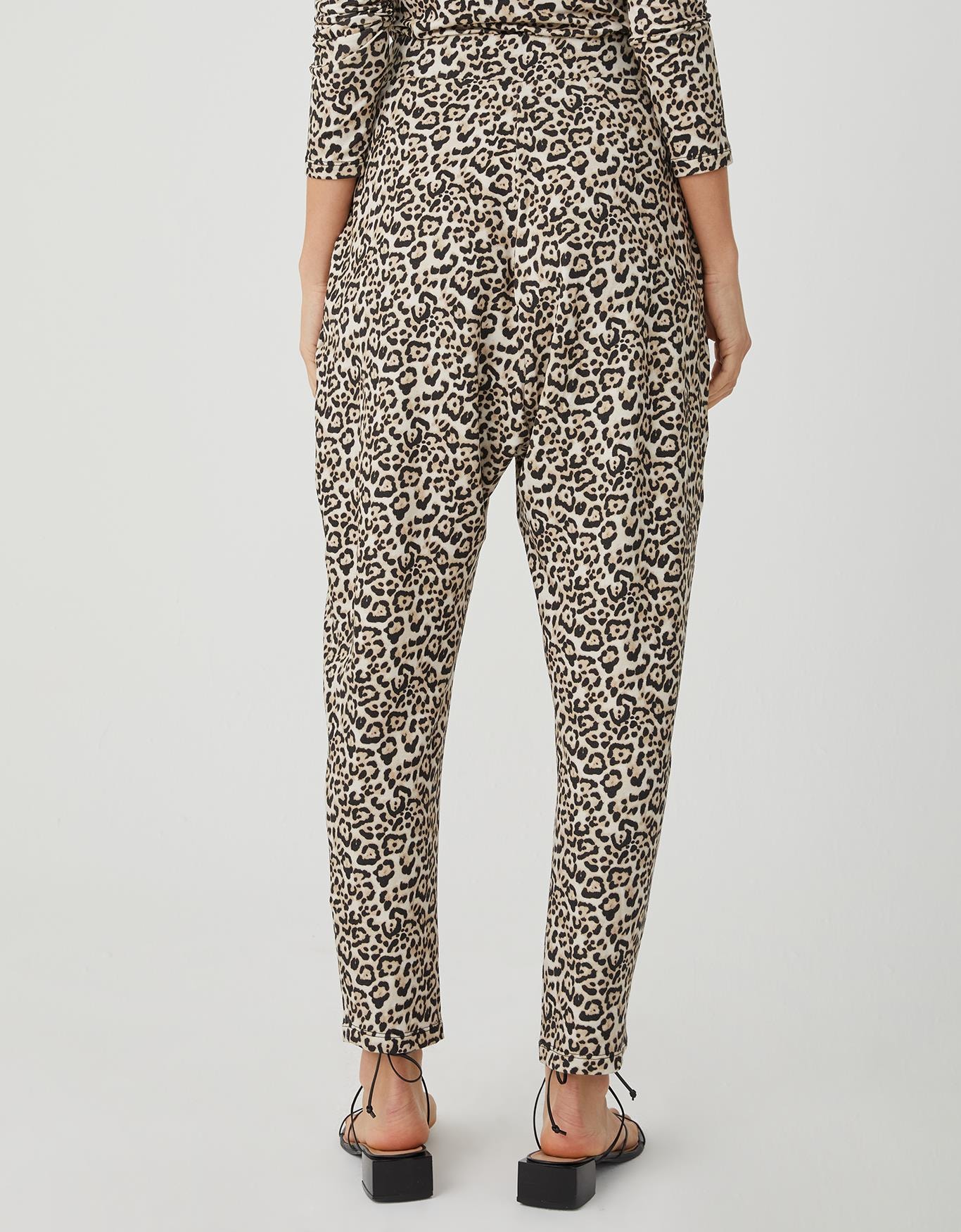 image_8b03738a-dc88-433e-926c-66fe59229b46