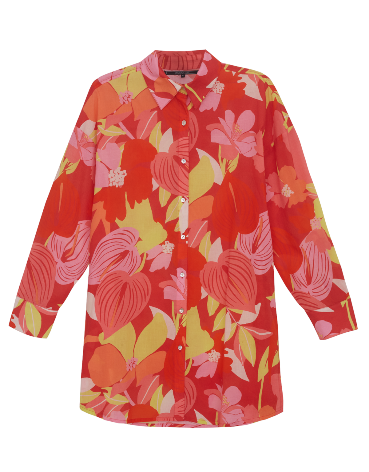 image_1e875511-565b-481b-a3b6-4bc4cb821194