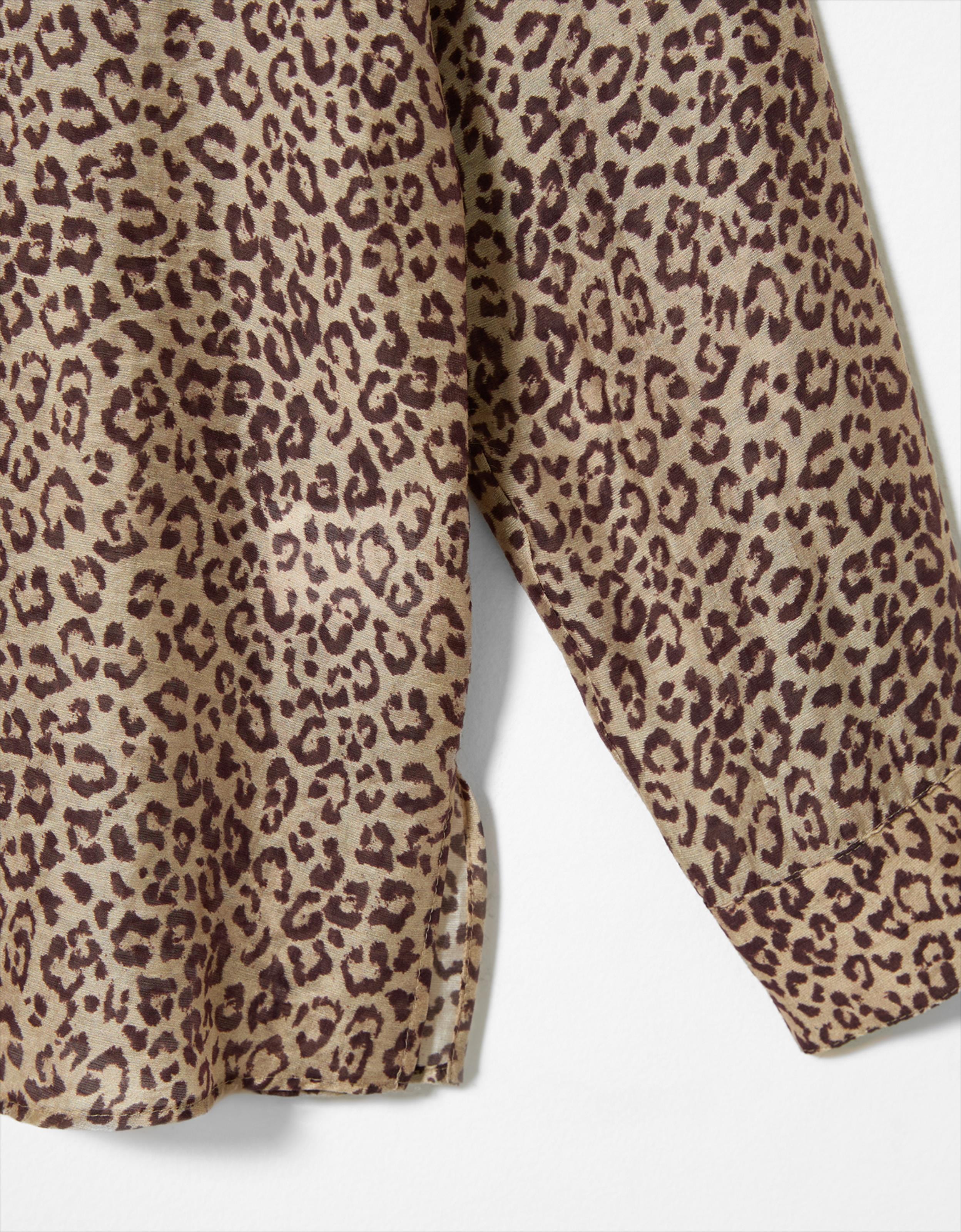 image_1975bdf8-4100-44de-909c-f9e272662d36