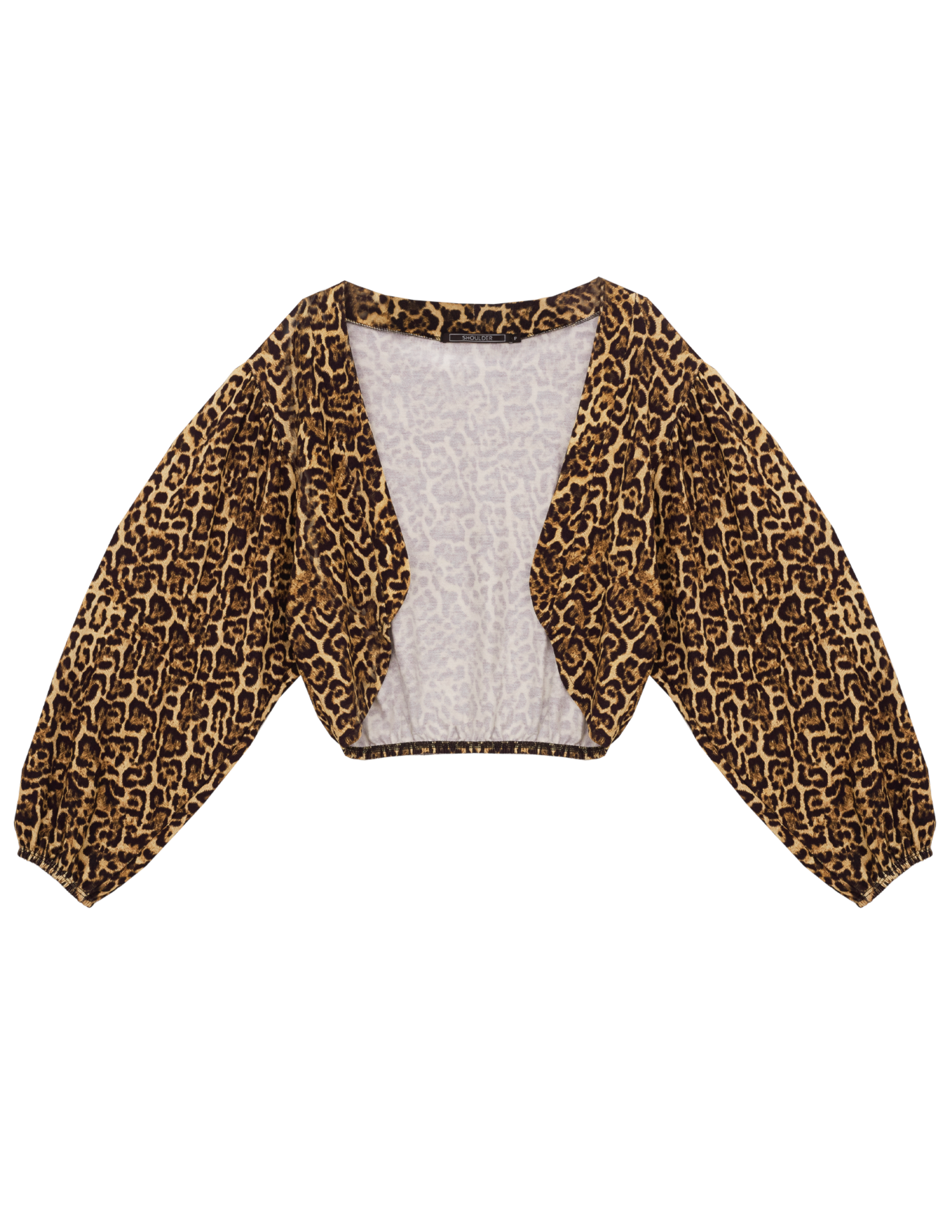 image_d11f53e6-b4a4-4ea2-aeb9-b41c8d9784f7