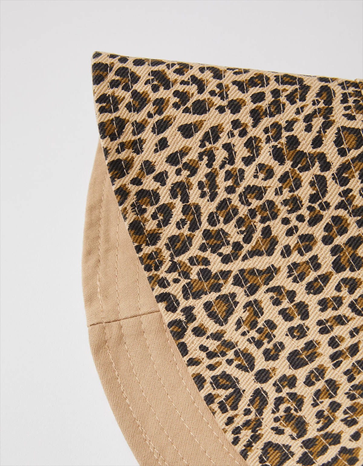 image_db5e526e-f531-422a-b1f9-e860b4551f92