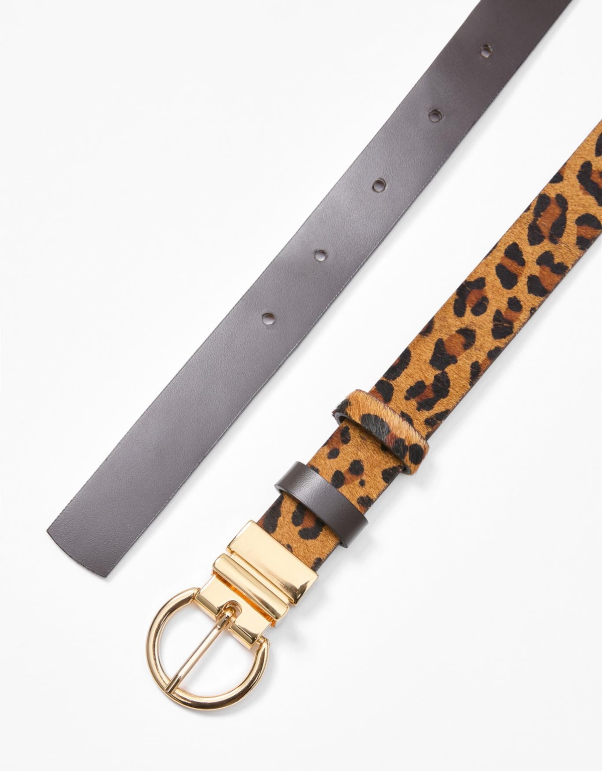 image_37b1d114-8444-4cfe-88fa-2264bec0ae4f