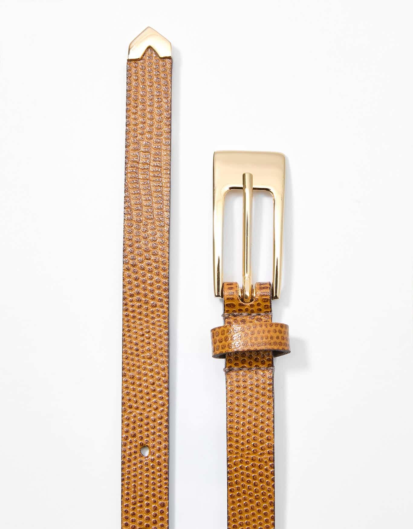 image_64fa39c6-4653-4540-9e06-ea49ff1dca7f