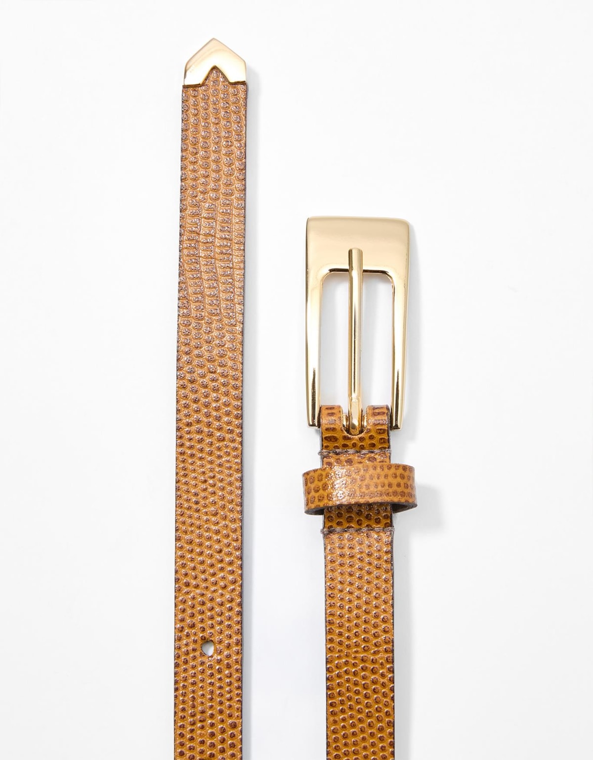 image_5bfc707e-7a1d-4c3d-9fc5-b2a9913eefe7