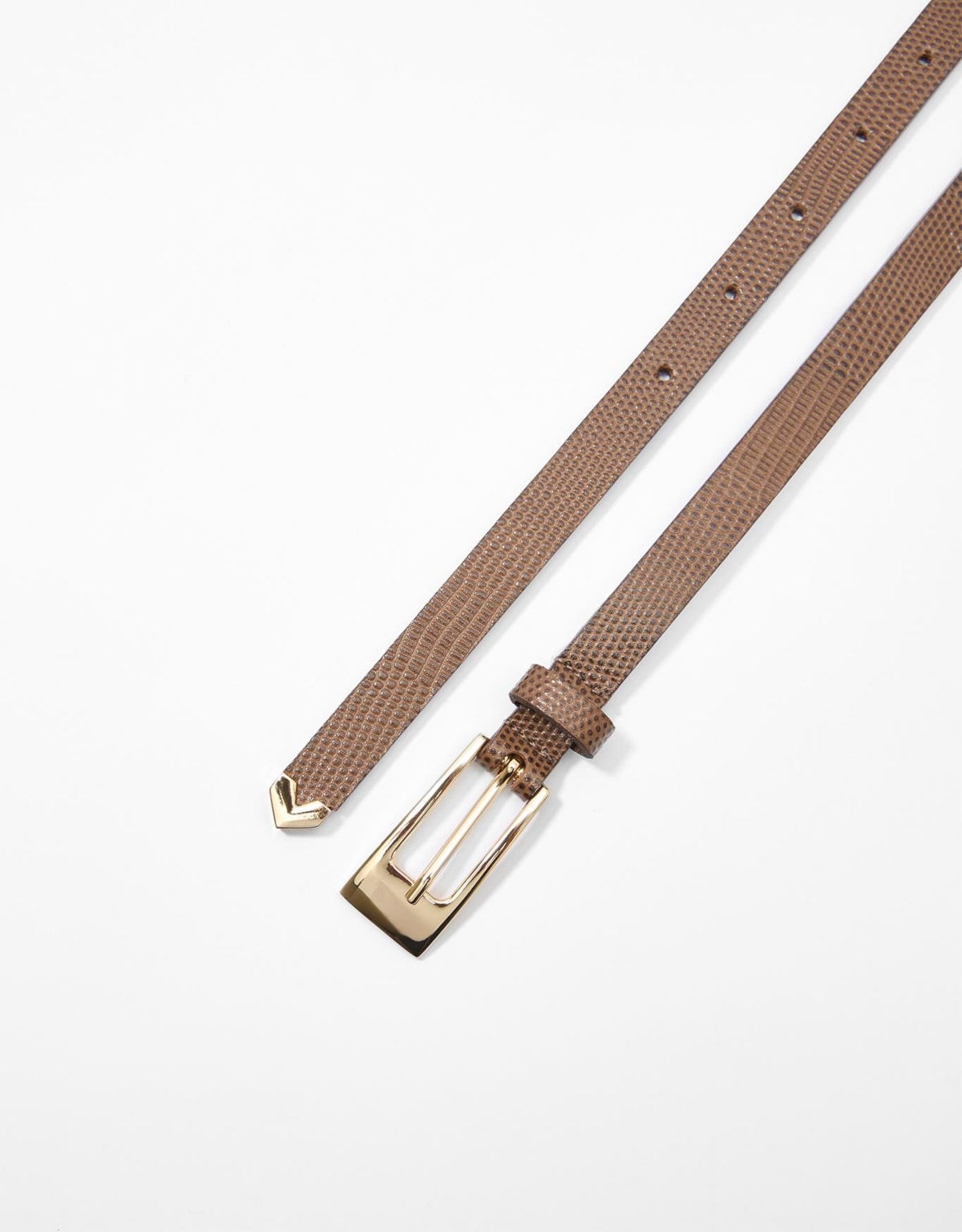 image_ef880f9e-60c5-4757-bcf9-4c940bde784f