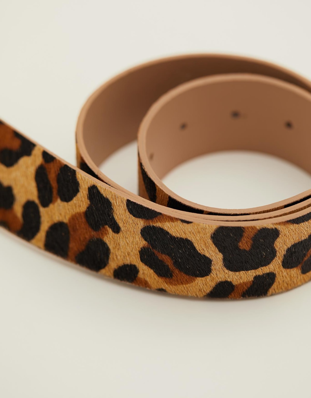 image_62a9cbf5-62a0-4260-aed3-04b73d563dac