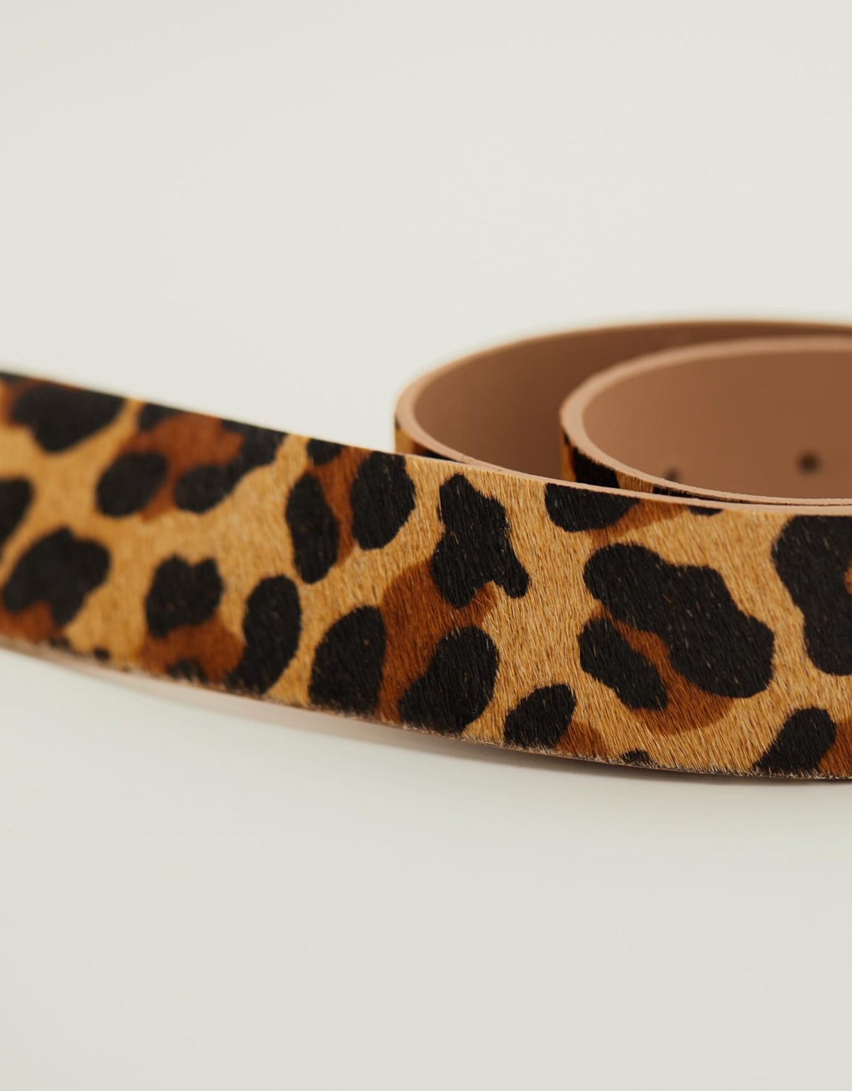 image_2569e871-1da5-4fdc-93ec-f21956eb980c