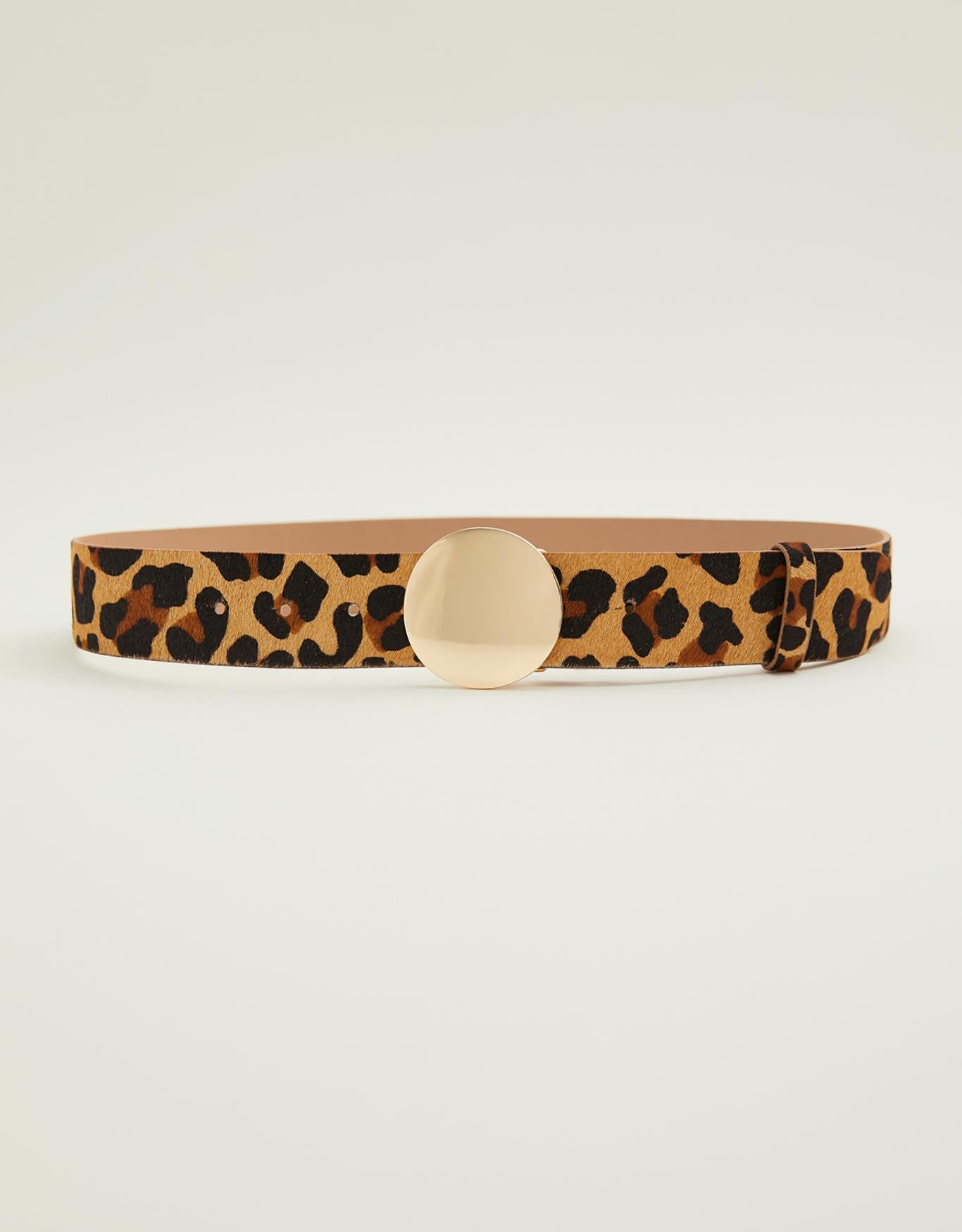 image_fd068bcc-f883-4d58-a417-86d39cb421f0