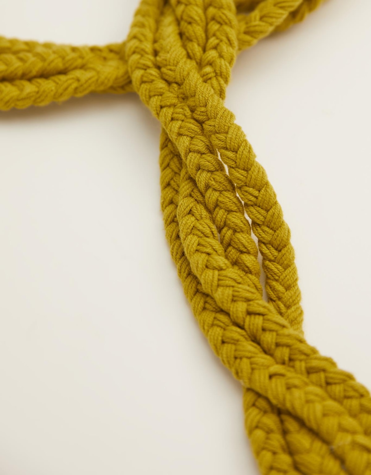 image_cfc16e53-5da0-4aab-ad76-2d098d5cb757