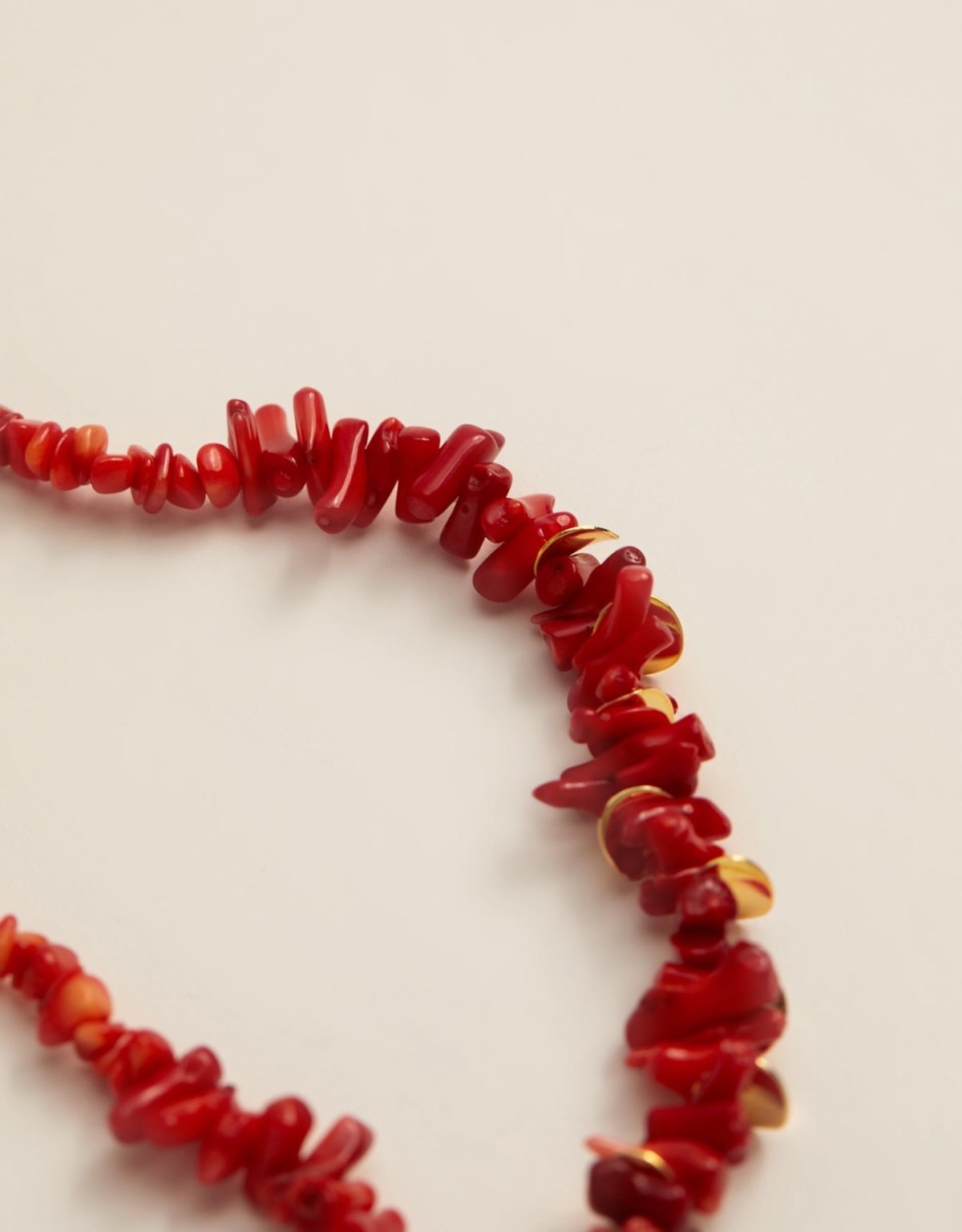 image_abc024b9-402f-446d-9f9c-fe6816e92039