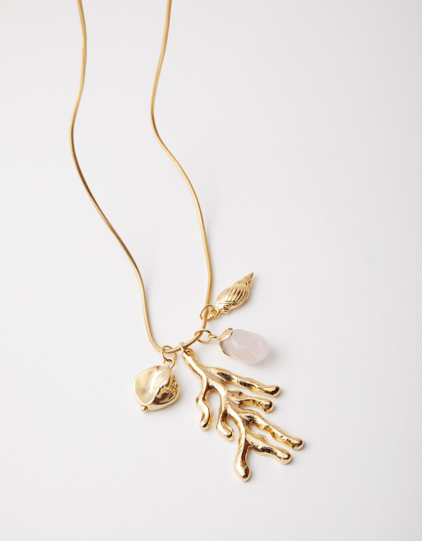 image_c016cac4-8884-4170-b8de-2706587db77c