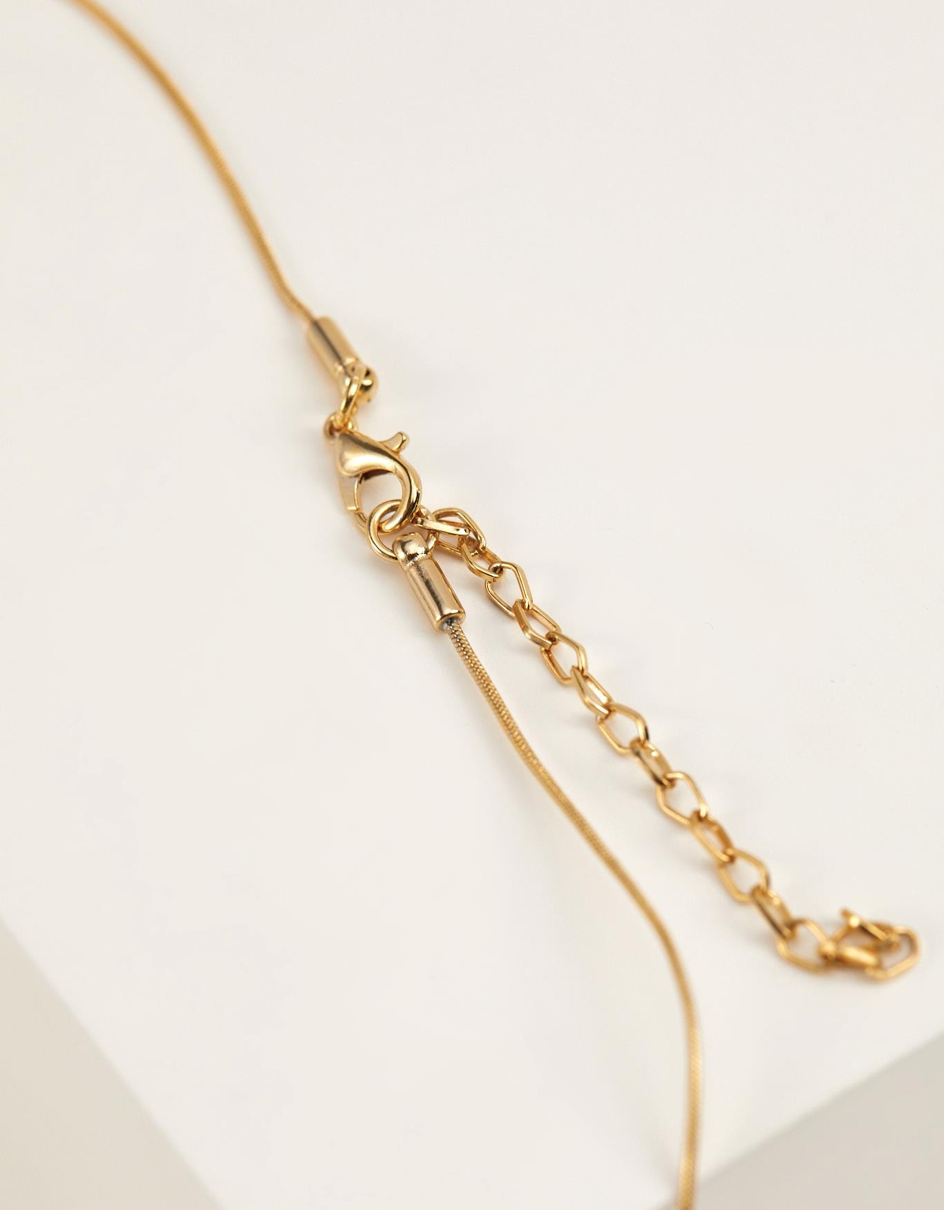 image_21848e55-acfc-4230-a5ea-38815a636744