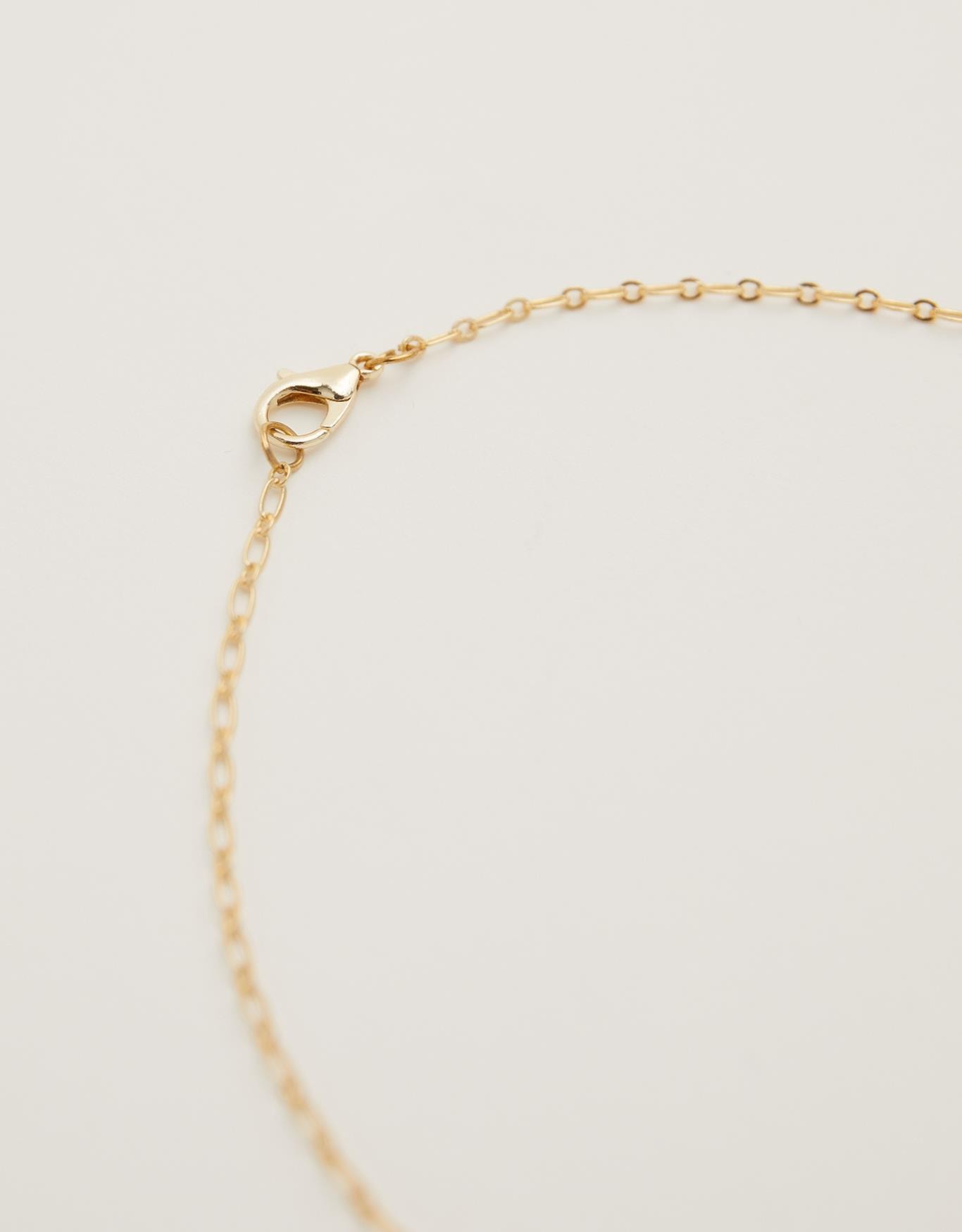 image_1adc2d59-5359-494c-8829-a514590a2885