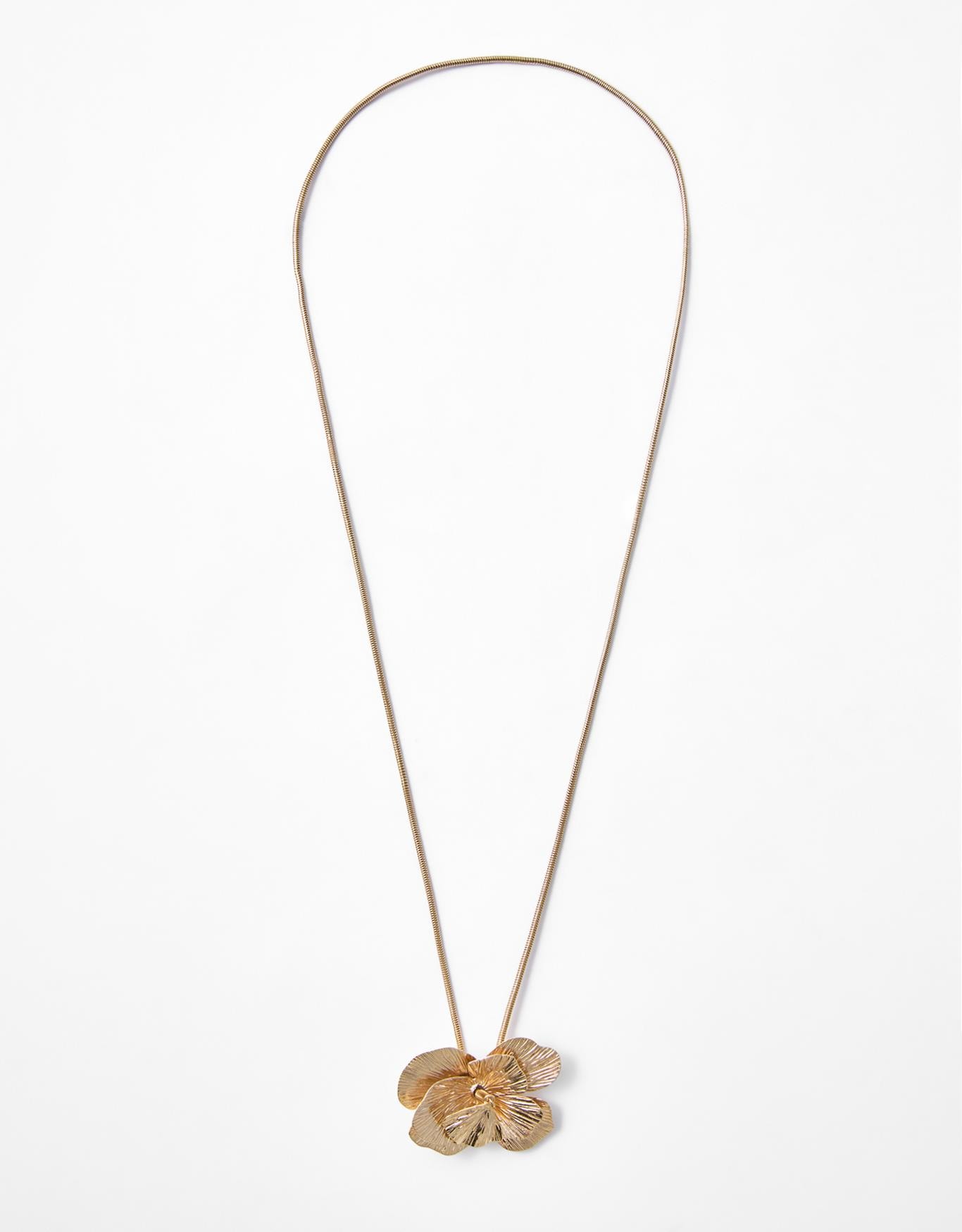 image_dcc5726c-101e-4980-806f-8b3d5eefdc4a