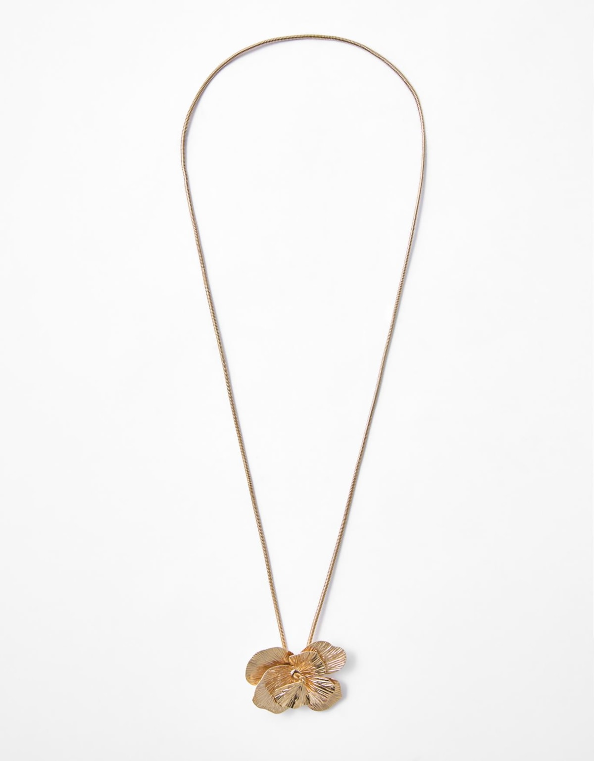 image_ab756fdb-842b-488c-a915-9d7103de4fa5