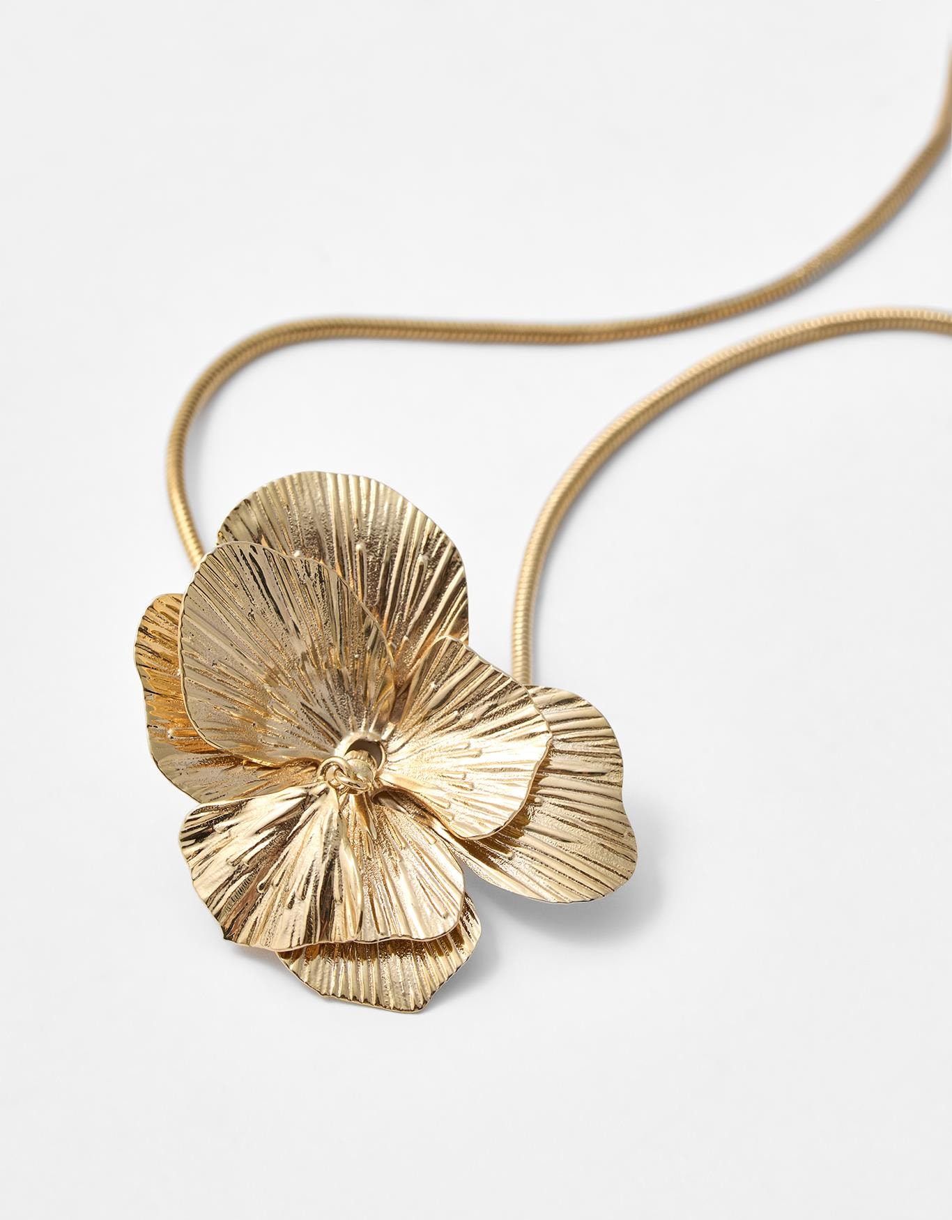 image_07b0b659-b562-499d-b826-110035b89753