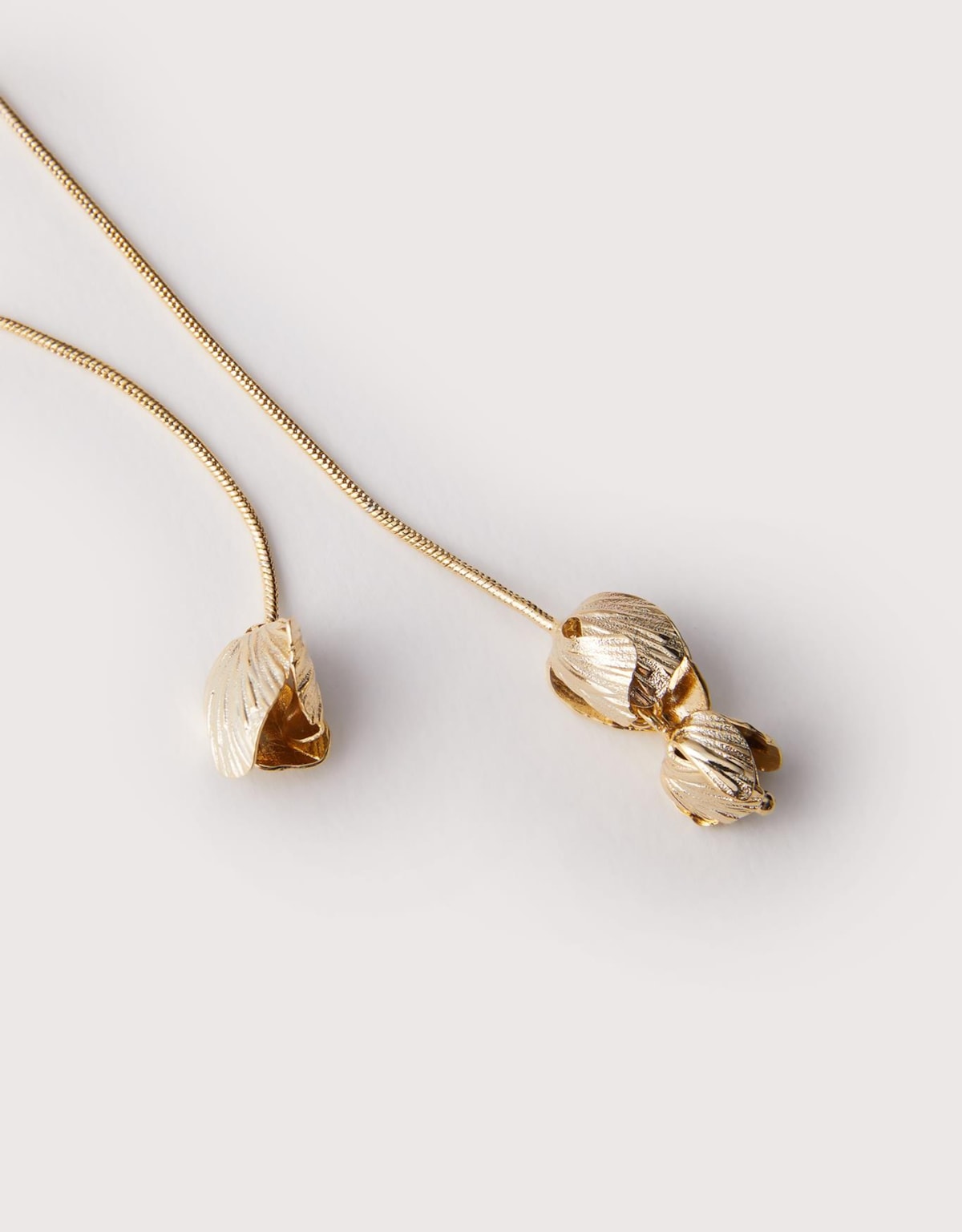 image_3ed704b5-d9bf-45db-9e1e-796c6206466e