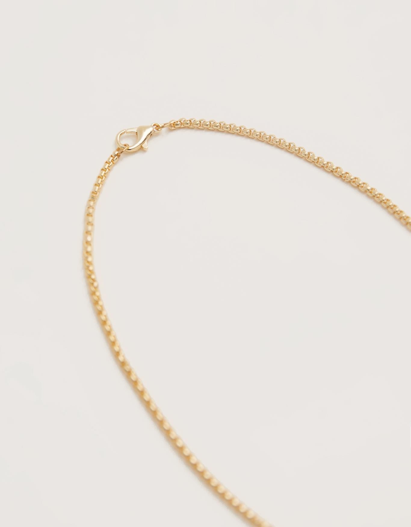 image_7ac768fc-969f-47e2-9167-fee2e99cecbb