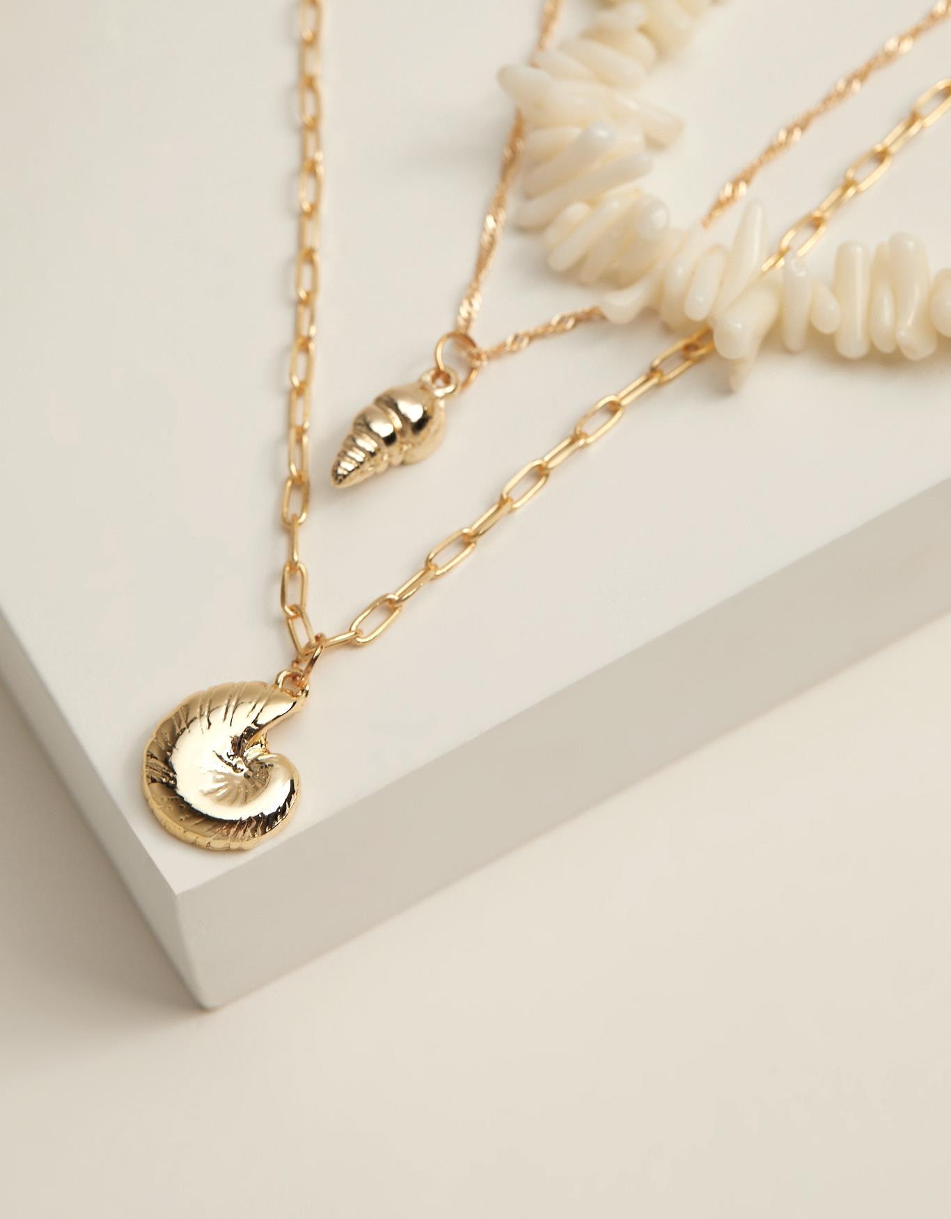 image_44f09221-1454-4459-afc1-3eb56848f665