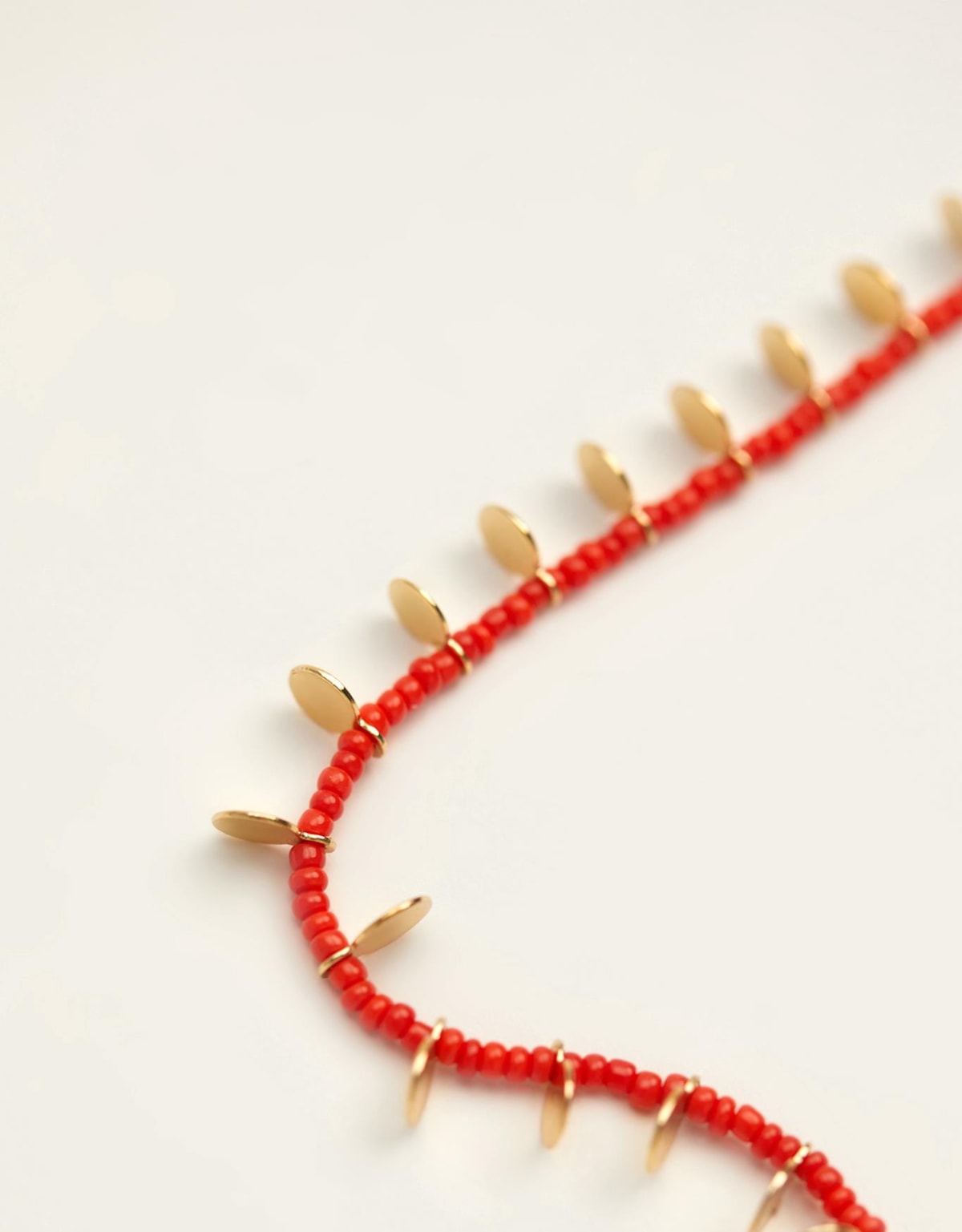 image_5b4d60f1-e71d-4078-9fd6-15a80bce6961