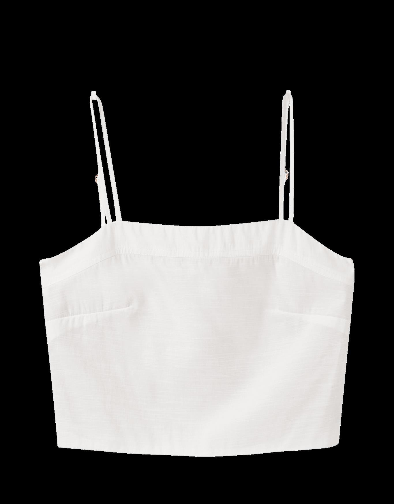 image_fc2c7d91-b5d6-4750-bf1c-210a96c7b1cd