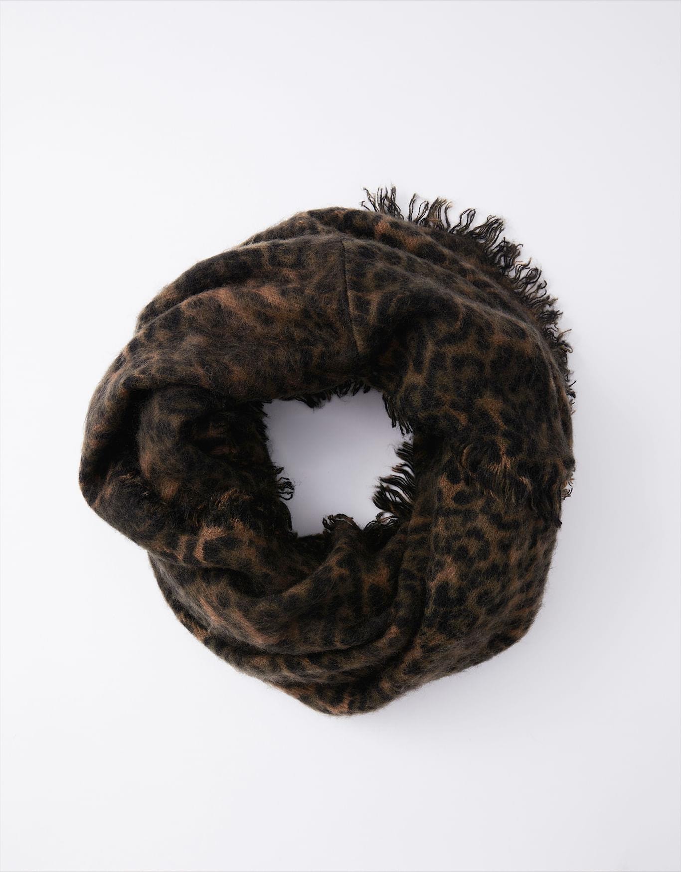 image_5073a0d0-c9f2-4829-96eb-71691695d74f