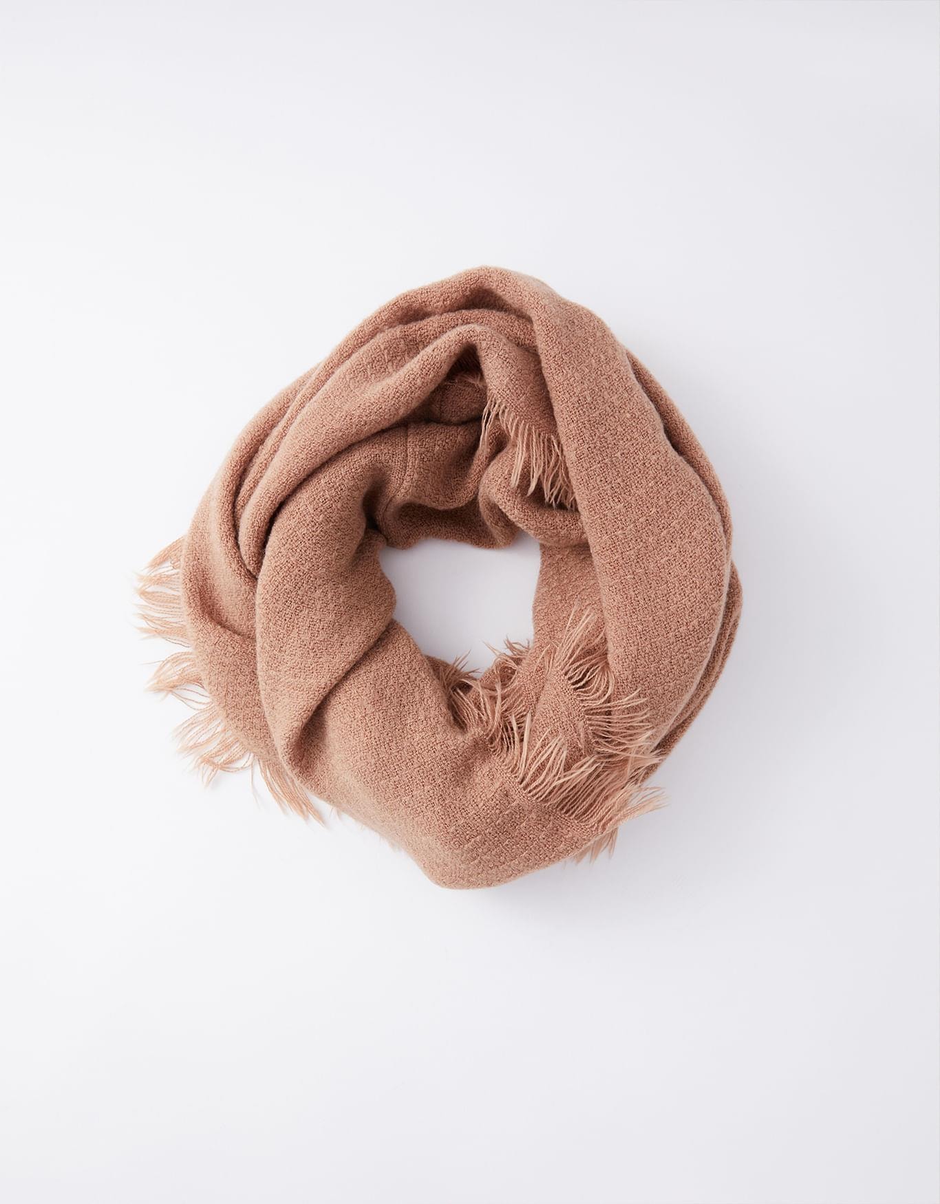 image_51cf1e8a-e0b2-41b9-8b51-3796d40b3b4e