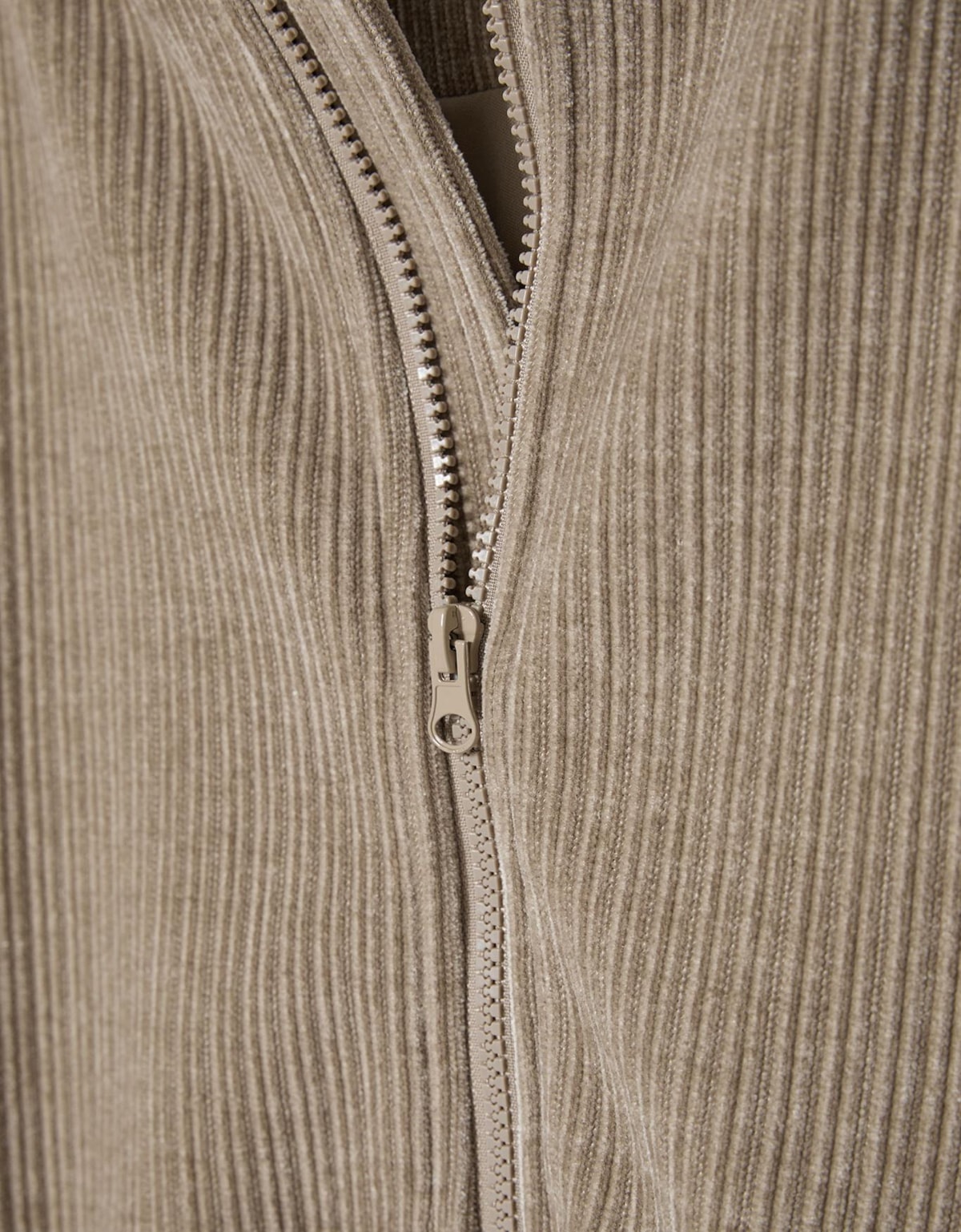 image_d87bb6bd-bf69-4340-a973-9ecf6e31e672