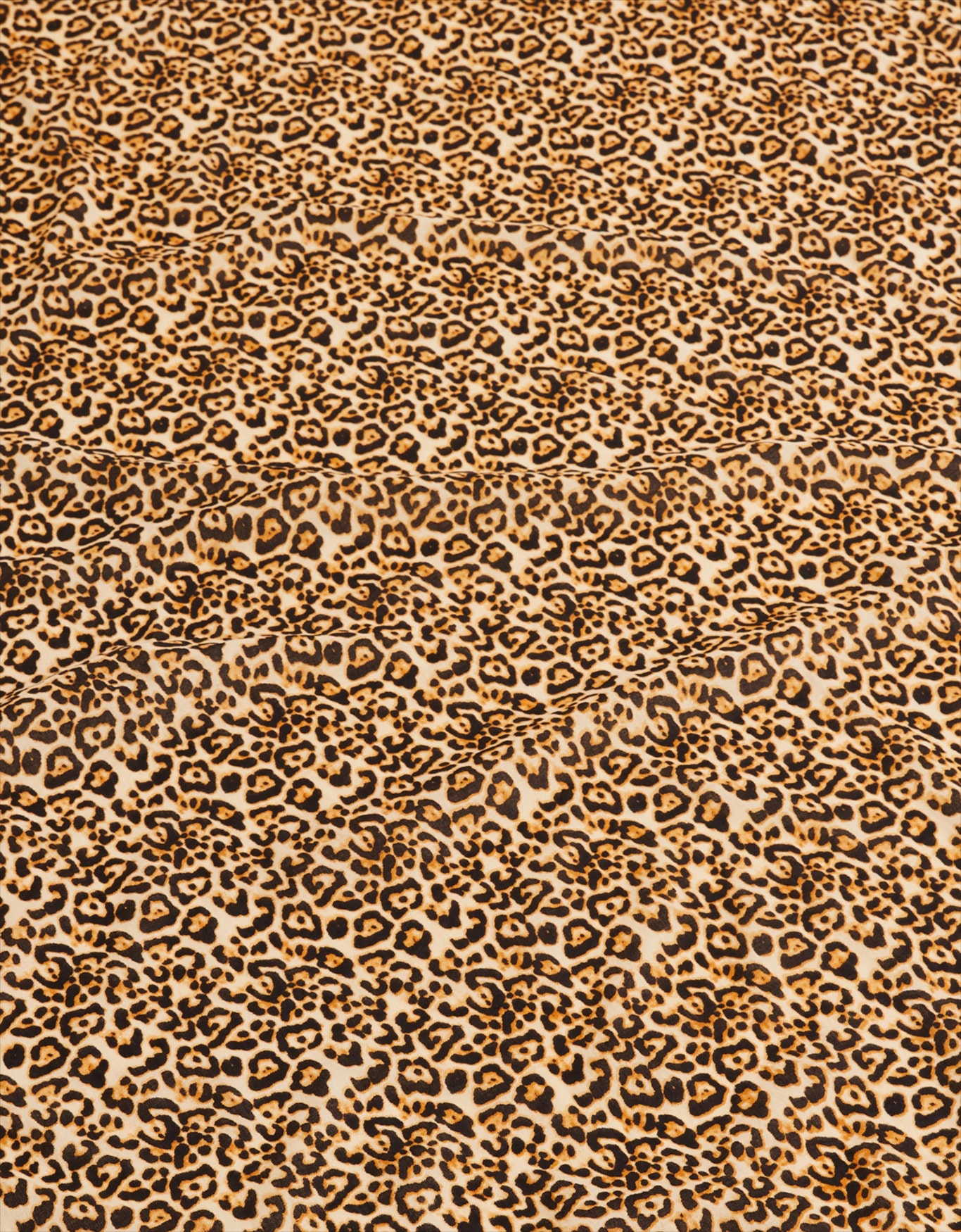 image_bbf807eb-2e1c-4f18-99a7-6358b1e67a60