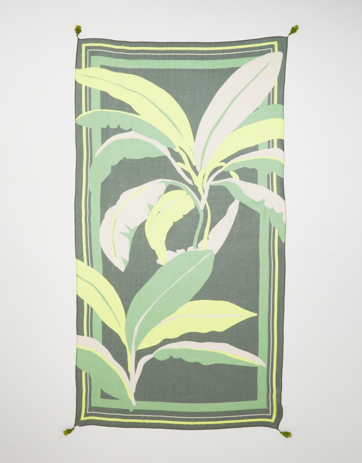 image_0cef5abb-6f67-4b58-9491-7f85b8c59d4e