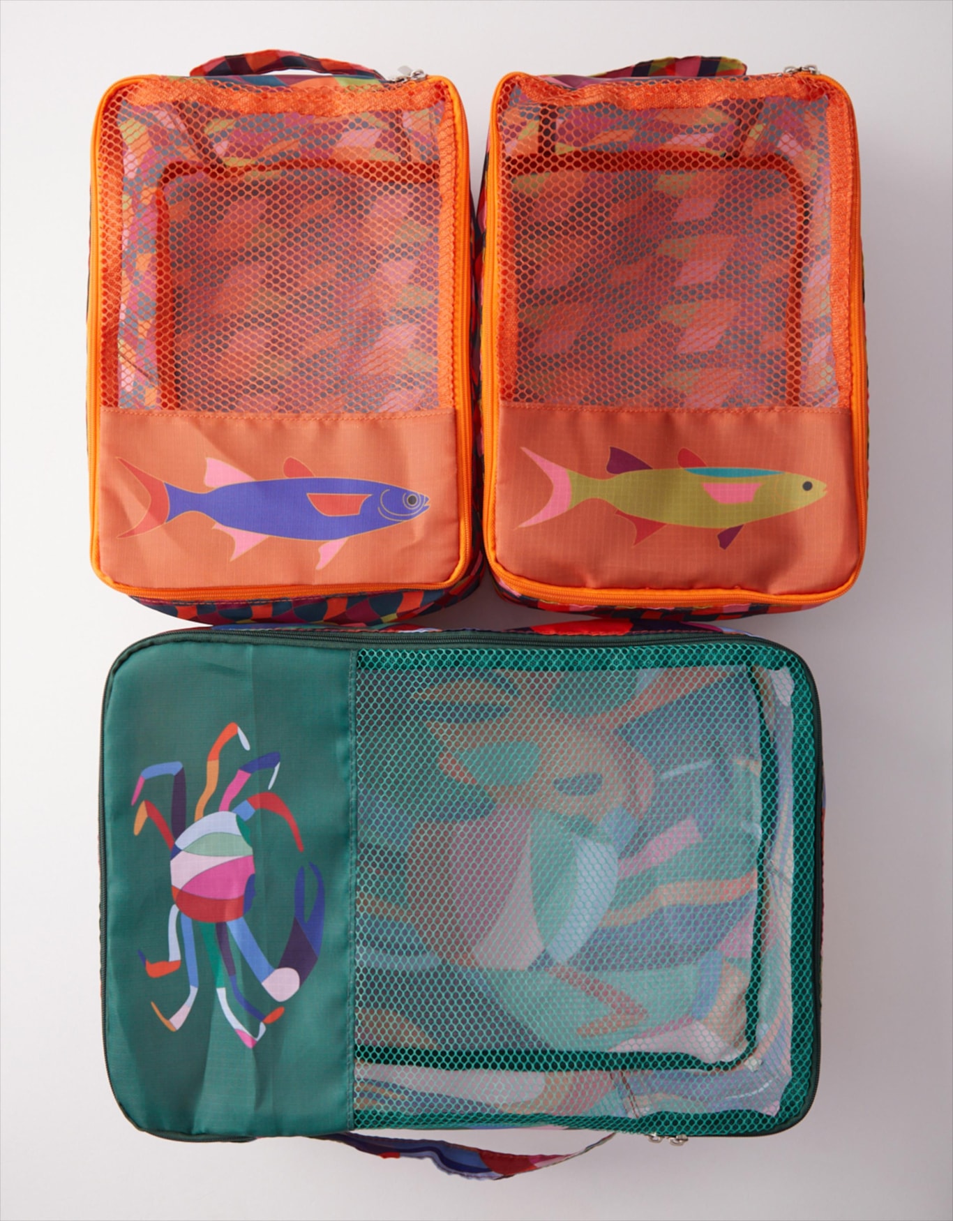 image_8ea86a76-91ba-4473-82a9-8841c3745167