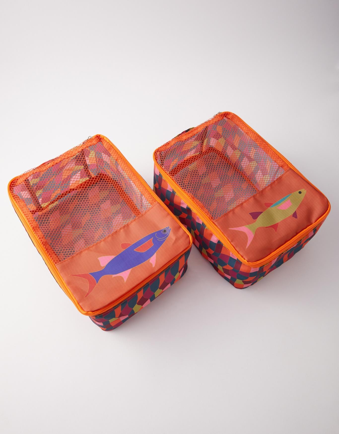 image_4923eaae-81eb-4dc1-9504-38583769f014